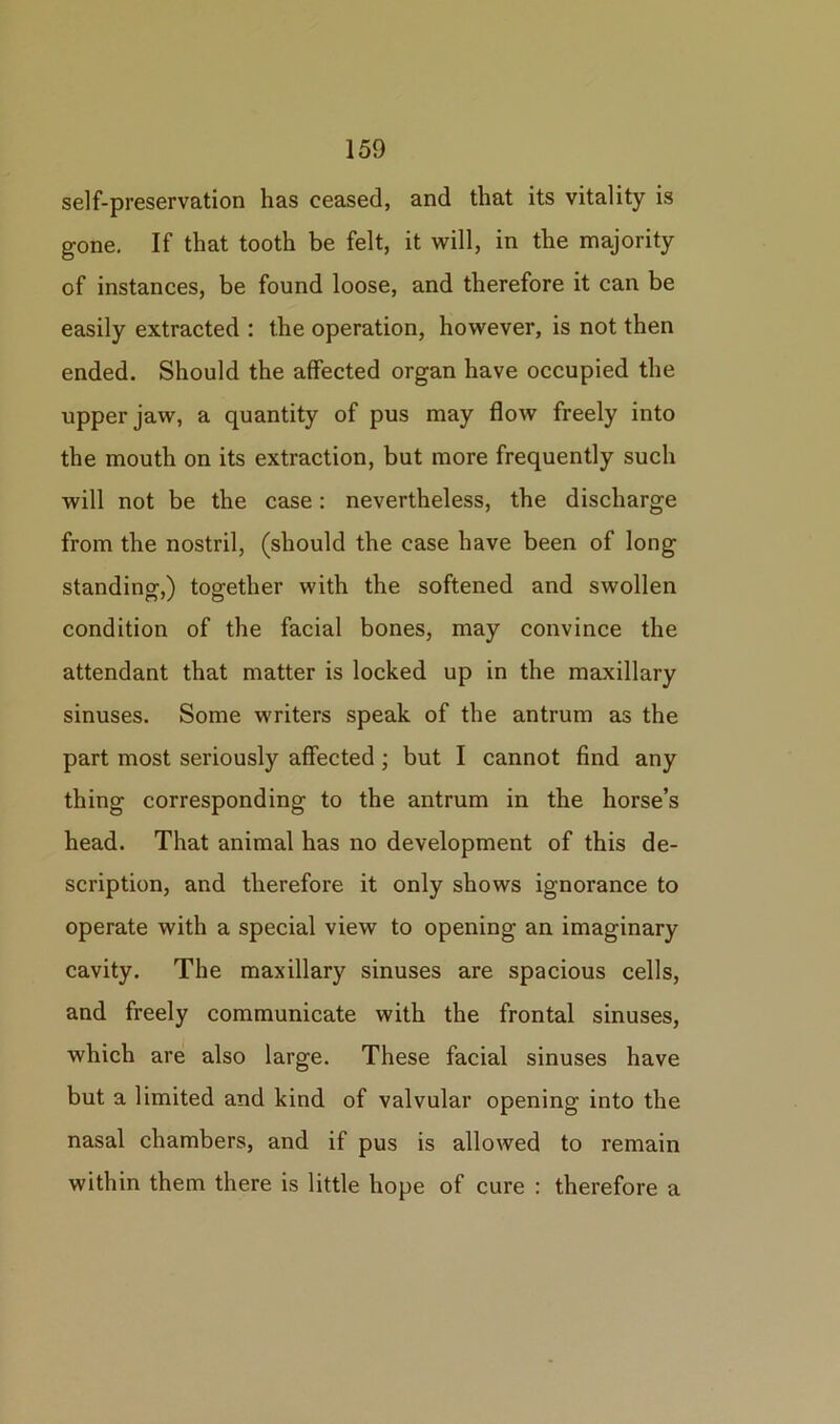 self-preservation has ceased, and that its vitality is gone. If that tooth be felt, it will, in the majority of instances, be found loose, and therefore it can be easily extracted : the operation, however, is not then ended. Should the affected organ have occupied the upper jaw, a quantity of pus may flow freely into the mouth on its extraction, but more frequently such will not be the case: nevertheless, the discharge from the nostril, (should the case have been of long standing,) together with the softened and swollen condition of the facial bones, may convince the attendant that matter is locked up in the maxillary sinuses. Some writers speak of the antrum as the part most seriously affected; but I cannot find any thing corresponding to the antrum in the horse’s head. That animal has no development of this de- scription, and therefore it only shows ignorance to operate with a special view to opening an imaginary cavity. The maxillary sinuses are spacious cells, and freely communicate with the frontal sinuses, which are also large. These facial sinuses have but a limited and kind of valvular opening into the nasal chambers, and if pus is allowed to remain within them there is little hope of cure : therefore a
