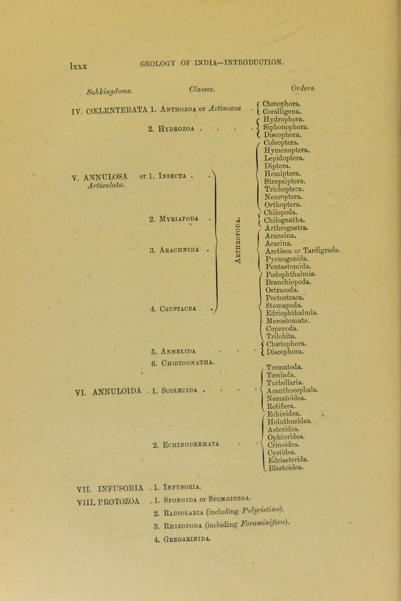 Suhkingdoms. Classes. Orders. IV. CCELENTERATA 1. Anthozoa or Actinozoa 2. Hydeozoa . V. ANNULOSA or 1. Insecta . Articulata. 2. Myriafoda 3. Arachnida 4. Crustacea . 5. Annelida 6. ClKETOGNATHA. • > VI. ANNULOIDA . 1. Scolecida . 2. Echinodeemata ( Ctenopbora. t Coralligena. r Hydropbora. I Siplionophora. (. Discophora. / Coleoptera. Hymenoptera. Lepidoptera. Diptera. Hemiptera. Strepsiptera. Tricboptera. Neuroptera. ^ Ortboptera. ^ Cliilopoda. ^ Chilognatba. {Artbrogastra. Araneina. Acarina. Arctisca or Tardigrada. Pycnogonida. Pentastomida. / Podophtbalmia. Branchiopoda. Ostracoda. Pectostraca. Stomapoda. Edriophtbalmia. Merostomata. Copenoda. ^ Trilobita. f Chaetopbora. ‘ (. Discopbora. Trematoda. Tieniada. Turbellaria. Acanthocepbal a. Nematoidea. Rotifera. Echinidea. Holutburidea. Asteridea. Ophinridea. Crinoidea. Cystidea. Edriasterida. „ Blastoidea. VII. INFUSORIA . 1. Infusoria. VIII. PROTOZOA . 1. SroNGiDA or Sfongiozoa. 2. Radiolaeia (including Potycistina). 3. RnizoroDA (including Foraminifera). 4. Gbegabinida.