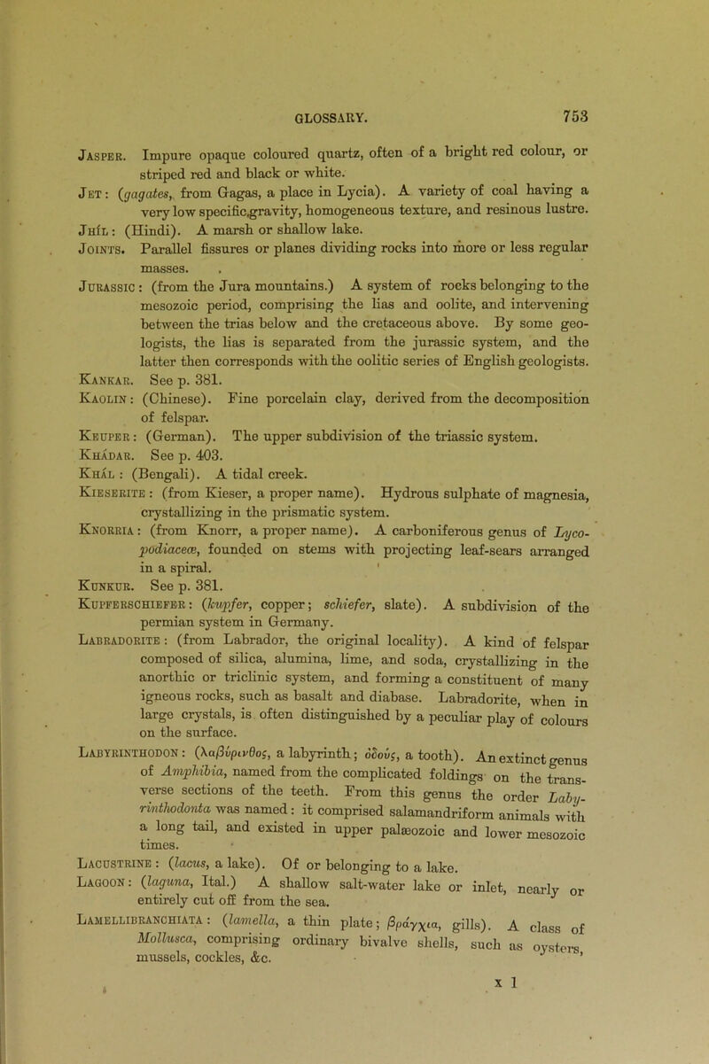 Jasper. Impure opaque coloured quartz, often of a bright red colour, or striped red and black or white. J et : (y agates, from Gagas, a place in Lycia). A variety of coal having a very low specific,gravity, homogeneous texture, and resinous lustre. JhIl : (Hindi). A marsh or shallow lake. Joints. Parallel fissures or planes dividing rocks into more or less regular masses. Jurassic: (from the Jura mountains.) A system of rocks belonging to the mesozoic period, comprising the lias and oolite, and intervening between the trias below and the cretaceous above. By some geo- logists, the lias is separated from the jurassic system, and the latter then corresponds with the oolitic series of English geologists. Kankar. See p. 381. Kaolin: (Chinese). Fine porcelain clay, derived from the decomposition of felspar. Keuper: (German). The upper subdivision of the triassic system. Khadar. See p. 403. Khal : (Bengali). A tidal creek. Kieserite : (from Kieser, a proper name). Hydrous sulphate of magnesia, crystallizing in the prismatic system. Knorria : (from Knorr, a proper name). A carboniferous genus of Lyco- podiacece, founded on stems with projecting leaf-sears arranged in a spiral. Kunkcr. See p. 381. Kupferschiefer: (Icupfer, copper; schiefer, slate). A subdivision of the permian system in Germany. Labradorite: (from Labrador, the original locality). A kind of felspar composed of silica, alumina, lime, and soda, crystallizing in the anorthic or triclinic system, and forming a constituent of many igneous rocks, such as basalt and diabase. Labradorite, when in large crystals, is often distinguished by a peculiar play of colours on the surface. Labyrinthodon : (\aflvpiv6o;, a labyrinth; dSouj, a tooth). An extinct genus of Amphibia, named from the complicated foldings on the trans- verse sections of the teeth. From this genus the order Laby- rmthodonta was named : it comprised salamandriform animals with a long tail, and existed in upper palaeozoic and lower mesozoic times. Lacustrine : (locus, a lake). Of or belonging to a lake. Lagoon: (laguna, Ital.) A shallow salt-water lake or inlet, nearly or entirely cut off from the sea. J Lamellibranchiaia : (lamella, a thin plate; fipay^ia, gills). A class of Mollusca, comprising ordinary bivalve shells, such as oystoi-s mussels, cockles, &c. J '