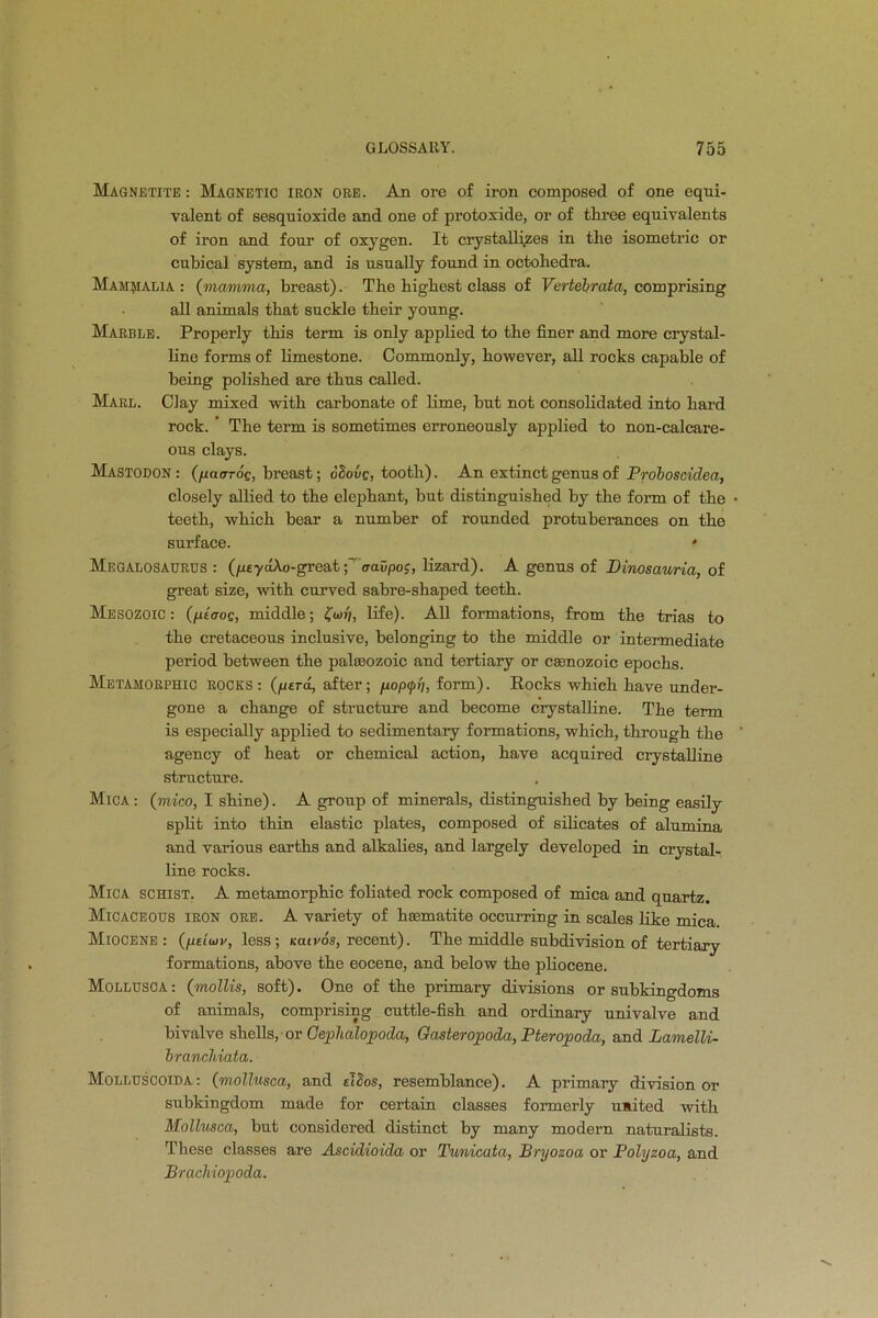Magnetite : Magnetic iron ore. An ore of iron composed of one equi- valent of sesqnioxide and one of protoxide, or of three equivalents of iron and four of oxygen. It crystallizes in the isometric or cubical system, and is usually found in octohedra. Mammalia: (mamma, breast). The highest class of Vertebrata, comprising all animals that suckle their young. Marble. Properly this term is only applied to the finer and more crystal- line forms of limestone. Commonly, however, all rocks capable of being polished are thus called. Marl. Clay mixed with carbonate of lime, but not consolidated into hard rock. ’ The term is sometimes erroneously applied to non-calcare- ous clays. Mastodon : (fiaarog, breast; oSovg, tooth). An extinct genus of Probosciclea, closely allied to the elephant, but distinguished by the form of the • teeth, which bear a number of rounded protuberances on the surface. * Megalosaurus : (ptyaXo-great;' aavpos, lizard). A genus of JDinosauria, of great size, with curved sabre-shaped teeth. Mesozoic : (ptoog, middle; £W/, life). All formations, from the trias to the cretaceous inclusive, belonging to the middle or intermediate period between the palasozoic and tertiary or ceenozoic epochs. Metahorphic rocks : (fitra, after; fiopcpr), form). Rocks which have under- gone a change of structure and become crystalline. The term is especially applied to sedimentary formations, which, through the ' agency of heat or chemical action, have acquired crystalline structure. Mica : (mico, I shine). A group of minerals, distinguished by being easily split into thin elastic plates, composed of silicates of alumina and various earths and alkalies, and largely developed in crystal- line rocks. Mica schist. A metamorphic foliated rock composed of mica and quartz. Micaceous iron ore. A variety of haematite occurring in scales like mica. Miocene: (ptiuiv, less; cairos, recent). The middle subdivision of tertiary formations, above the eocene, and below the pliocene. Mollusca : (mollis, soft). One of the primary divisions or subkingdoms of animals, comprising cuttle-fish and ordinary univalve and bivalve shells, or Cephalopoda, Gasteropoda, Pteropoda, and Lamelli- branchiata. Molluscoida: (mollusca, and slSos, resemblance). A primary division or subkingdom made for certain classes formerly united with Mollusca, but considered distinct by many modern naturalists. These classes are Ascidioida or Tv/nicata, Bryosoa or Polyzoa, and Brachiopoda.