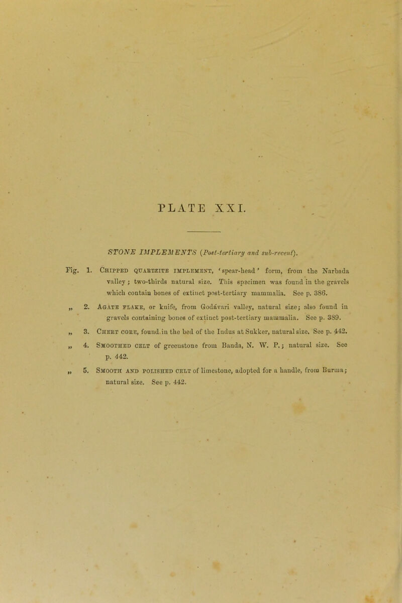 STONE IMPLEMENTS (Post-tertiary and sub-recent). Fig. 1. Chipped quartzite implement, ‘spear-liead’ form, from the Narbada valley ; two-thirds natural size. This specimen was found in the gravels which contain bones of extinct post-tertiary mammalia. See p. 386. „ 2. Agate flake, or knife, from Godavari valley, natural size; also found in gravels containing bones of extinct post-tertiary mammalia. See p. 389. „ 3. Cheet core, found, in the bed of the Indus at Sukker, natural size. See p. 442. „ 4. Smoothed celt of greeustone from Banda, N. W. P,; natural size. See p. 4 42. „ 5. Smooth and polished celt of limestone, adopted for a handle, from Burma; natural size. See p. 442.