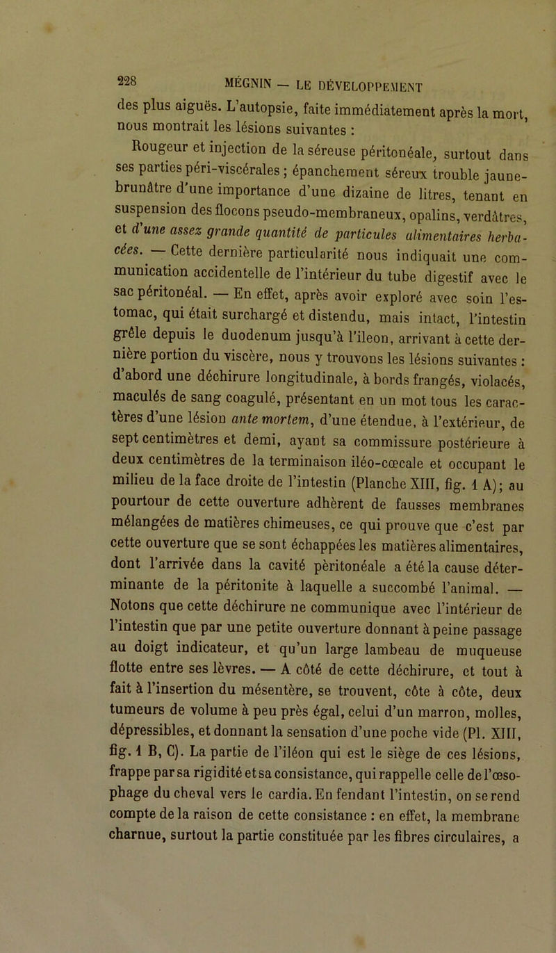 des plus aiguës. L’autopsie, faite immédiatement après la mort, nous montrait les lésions suivantes : Rougeur et injection de la séreuse péritonéale, surtout dans ses parties péri-viscérales ; épanchement séreux trouble jaune- brunâtre d'une importance d’une dizaine de litres, tenant en suspension des flocons pseudo-membraneux, opalins, verdâtres, et d une assez grande quantité de particules alimentaires herba- cées..— Cette dernière particularité nous indiquait une com- munication accidentelle de l’intérieur du tube digestif avec le sac péritonéal. — En effet, après avoir exploré avec soin l’es- tomac, qui était surchargé et distendu, mais intact, l’intestin grêle depuis le duodénum jusqu’à l’ileon, arrivant à cette der- nière portion du viscère, nous y trouvons les lésions suivantes : d’abord une déchirure longitudinale, à bords frangés, violacés, maculés de sang coagulé, présentant en un mot tous les carac- tères d’une lésion ante mortem, d’une étendue, à l’extérieur, de sept centimètres et demi, ayant sa commissure postérieure à deux centimètres de la terminaison iléo-cœcale et occupant le milieu de la face droite de l’intestin (Planche XIII, fig. 1 A); au pourtour de cette ouverture adhèrent de fausses membranes mélangées de matières chimeuses, ce qui prouve que c’est par cette ouverture que se sont échappées les matières alimentaires, dont l’arrivée dans la cavité péritonéale a été la cause déter- minante de la péritonite à laquelle a succombé l’animal. — Notons que cette déchirure ne communique avec l’intérieur de l’intestin que par une petite ouverture donnant à peine passage au doigt indicateur, et qu’un large lambeau de muqueuse flotte entre ses lèvres. — A côté de cette déchirure, et tout à fait à l’insertion du mésentère, se trouvent, côte à côte, deux tumeurs de volume à peu près égal, celui d’un marron, molles, dépressibles, et donnant la sensation d’une poche vide (PI. XIII, fig. \ B, C). La partie de l’iléon qui est le siège de ces lésions, frappe par sa rigiditéetsa consistance, quirappelle celle del’œso- phage du cheval vers le cardia. En fendant l’intestin, on se rend compte delà raison de cette consistance : en effet, la membrane charnue, surtout la partie constituée par les fibres circulaires, a