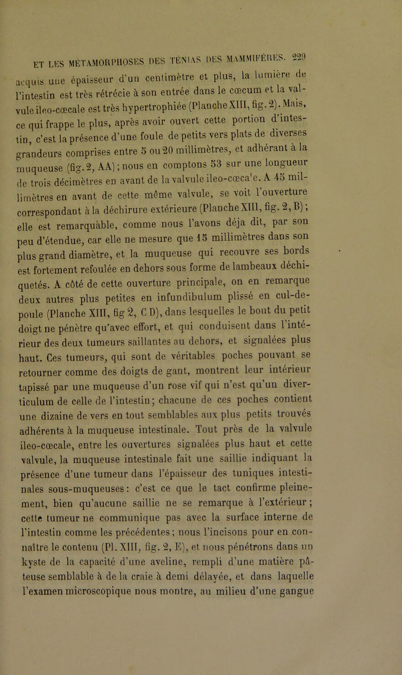 acquis une épaisseur d’un centimètre et plus, la lumière de l’intestin est très rétrécie à son entrée dans le cæcum et la val- vule ileo-cœcale est très hypertrophiée (PlancheXIII, fig. 2). Mais, ce qui frappe le plus, après avoir ouvert cette portion d intes- tin, c’est la présence d’une foule de petits vers plats de diverses grandeurs comprises entre 5 ou20 millimètres, et adhérant à la muqueuse (fig. 2, AA);nous en comptons 53 sur une longueur de trois décimètres en avant de la valvule ileo-cœcale. A 45 mil- limètres en avant de cette même valvule, se voit 1 ouverture correspondant à la déchirure extérieure (Planche XIII, fig. 2, B); elle est remarquable, comme nous l’avons déjà dit, par son peu d’étendue, car elle ne mesure que 15 millimètres dans son plus grand diamètre, et la muqueuse qui recouvre ses bords est fortement refoulée en dehors sous forme de lambeaux déchi- quetés. A côté de cette ouverture principale, on en remarque deux autres plus petites en infundibulum plissé en cul-de- poule (Planche XIII, fig 2, C D), dans lesquelles le bout du petit doigt ne pénètre qu’avec effort, et qui conduisent dans 1 inté- rieur des deux tumeurs saillantes au dehors, et signalées plus haut. Ces tumeurs, qui sont de véritables poches pouvant se retourner comme des doigts de gant, montrent leur intérieur tapissé par une muqueuse d’un rose vif qui n’est qu’un diver- ticulum de celle de l’intestin; chacune de ces poches contient une dizaine de vers en tout semblables aux plus petits trouvés adhérents à la muqueuse intestinale. Tout près de la valvule ileo-cœcale, entre les ouvertures signalées plus haut et cette valvule, la muqueuse intestinale fait une saillie indiquant la présence d’une tumeur dans l’épaisseur des tuniques intesti- nales sous-muqueuses: c’est ce que le tact confirme pleine- ment, bien qu’aucune saillie ne se remarque à l’extérieur ; cette tumeur ne communique pas avec la surface interne de l’intestin comme les précédentes; nous l’incisons pour en con- naître le contenu (PI. XIII, fig. 2, E), et nous pénétrons dans un kyste de la capacité d’une aveline, rempli d’une matière pâ- teuse semblable à de la craie à demi délayée, et dans laquelle l’examen microscopique nous montre, au milieu d’une gangue