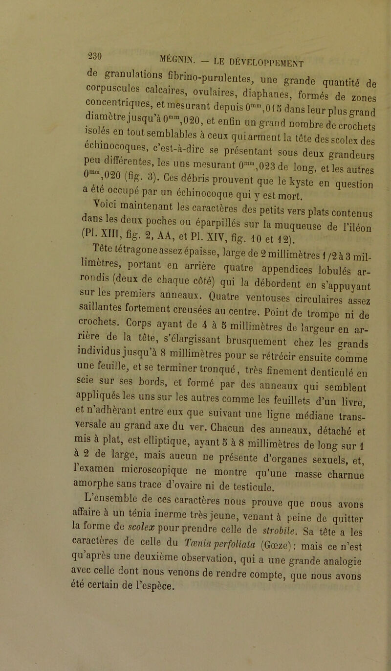 de granulations fibrino-purulenles, une grande quantité de corpuscules calcatres, ovulaires, diaphanes, formés de zones concentriques, et mesurant depuis 0-,0 Ig dans leur plus grand d.ametre jusqu à O-,020, et enBn un grand nombre de crochets es en tout semblables à ceux qui arment la tête desscolex des echinocoques, c'est-à-dire se présentant sous deux grandeurs 0- u“s,œuran‘0”.»23de long, et les autres ,0-0 (Bg. 3). Ces débris prouvent que le kyste en question a ete occupe par un échmocoque qui y est mort. Void maintenant les caractères des petits vers plats contenus ,p, vm rXfCAeS °U éparpillés sur Ia muqueuse de l’iléon (PJ. Xlir, fig. 2, AA, et PI. XIV, fig. 10 et 12). Tête tétragone assez épaisse, large de 2 millimètres I /2 à 3 mil- limétrés portant en arrière quatre appendices lobulés ar- rondis (deux de chaque côté) qui la débordent en s’appuyant sur les premiers anneaux. Quatre ventouses circulaires assez saillantes fortement creusées au centre. Point de trompe ni de crochets. Corps ayant de 4 à 5 millimètres de largeur en ar- riéré de la tête, s élargissant brusquement chez les grands individus jusqu a 8 millimètres pour se rétrécir ensuite comme une feuille, et se terminer tronqué, très finement denticulé en scie sur ses bords, et formé par des anneaux qui semblent appliqués les uns sur les autres comme les feuillets d’un livre, et n adhérant entre eux que suivant une ligne médiane trans- versale au grand axe du ver. Chacun des anneaux, détaché et mis à plat, est elliptique, ayant 5 à 8 millimètres de long sur 1 à 2 de laige, mais aucun ne présente d’organes sexuels, et, l’examen microscopique ne montre qu’une masse charnue’ amorphe sans trace d’ovaire ni de testicule. L’ensemble de ces caractères nous prouve que nous avons affaire à un ténia inerme très jeune, venant à peine de quitter lalorme de scolex pour prendre celle de strobile. Sa tête a les caractères de celle du Tænin perfoliata (Gœze) : mais ce n’est qu’après une deuxième observation, qui a une grande analogie avec celle dont nous venons de rendre compte, que nous avons été certain de l’espèce.