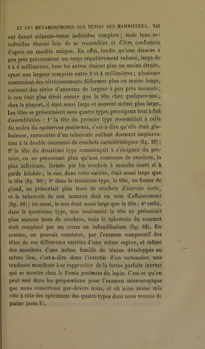 ont donné soixante-treize individus complets; mais tous ces individus étaient loin de se ressembler et d’être conformés d’après un modèle unique. En effet, tandis qu’une dixaine à peu près présentaient un corps régulièrement rubané, large de 5 à 6 millimètres, tous les autres étaient plus ou moins étroits, ayant une largeur comprise entre 2 et 4 millimètres ; plusieurs montraient des rétrécissements filiformes plus ou moins longs, unissant des séries d’anneaux de largeur à peu près normale; le cou était plus étroit encore que la tête chez quelques-uns ; chez la plupart, il était aussi large et souvent même plus large. Les têtes se présentaient sous quatre types principaux tout à fait dissemblables : 1° la tête du premier type ressemblait à celle du scolex du cysticercus pisiformis, c’est-à-dire qu’elle était glo- buleuse, surmontée d’un tubercule saillant donnant implanta- tion à la double couronne de crochets caractéristiques (fig. 29) ; 2° la tête du deuxième type commençait à s’éloigner du pre- mier, en ne présentant plus qu’une couronne de crochets, la plus inférieure, formée par les crochets à manche court et à garde bilobée ; le cou, dans cette variété, était aussi large que la tête (fig. 30) ; 3° dans le troisième type, la tête, en forme de gland, ne présentait plus trace de crochets d’aucune sorte, et le tubercule de son sommet était en voie d’affaissement (fig. 31) ; ici aussi, le cou était aussi large que la tête ; 4° enfin, dans le quatrième type, non seulement la tête ne présentait plus aucune trace de crochets, mais le tubercule du sommet était remplacé par un creux en infundibulum (fig. 32). En somme, on pouvait constater, par l’examen comparatif des têtes de ces différentes variétés d’une même espèce, et même des membres d’une même famille de ténias développés au même lieu, c’est-à-dire dans l’intestin d’un carnassier, une tendance manifeste à se rapprocher de la forme parfaite inerme qui se montre chez le Tamia pectinata du lapin. C’est ce qu’on peut voir dans les préparations pour l’examen microscopique que nous conservons par-devers nous, et où nous avons mis côte à côte des spécimens des quatre types dont nous venons de parler (note E).