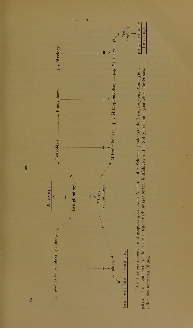 oder n •a S / d o -*-* o P rP _ O) o o _ iS s >% o JD 'S - >> t ll-> >» O o 'S s o rfi • l-H s t ü o 'S £ o u pH o Pi Pd § A -O - O £ \ -H->^ / \ / S P C/3 P cj .2 O £ P p o P „ p p ® <D Ph HJ O o 43 o cß rP Ejn P< P K-S P HP p HP P o P 4-H -4—1 CC rr> d o 4S Q o pp PS P >> 1 N s ^ P p c CTj «4-H Cj ’T* M P P P P § P rP P P 0) CO bfl q5 :o3 'S 'S P C P c t**“» o o o i o P Hp ■Je Jj I ? ä S p £ «3 2 _ cc P p jg bß I § I s bc . I- cc p öjq bß O P -P P P -P d s-< p rP O rP V k-~> ü o K*“i p o pp p. ^ v p \ HP O o G> P s — ■P P cß <p J-h *-> 2 & P o P ^ P CO P «^ W3 p r~. 'S zellen des normalen Blutes.