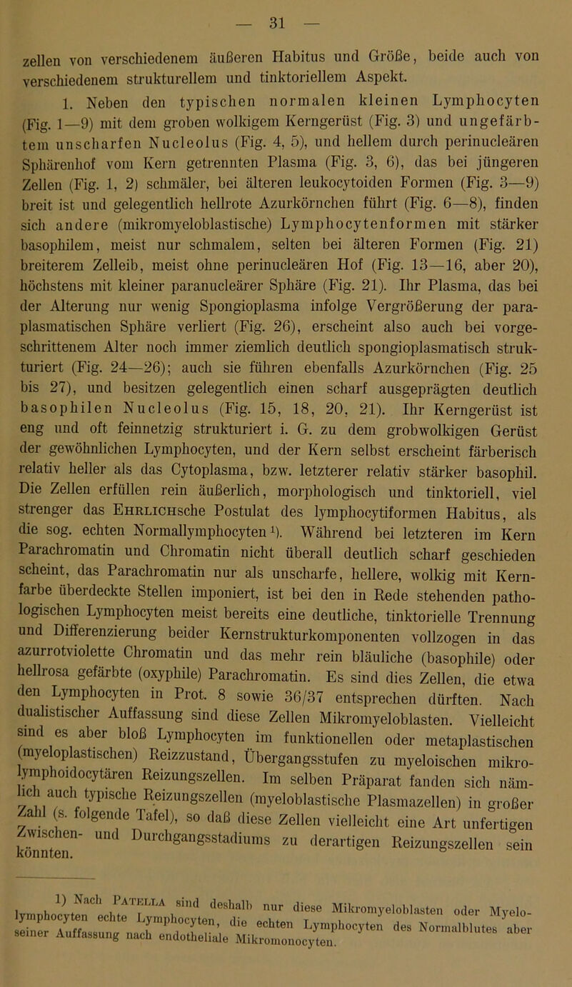 zellen von verschiedenem äußeren Habitus und Größe, beide auch von verschiedenem strukturellem und tinktoriellem Aspekt. 1. Neben den typischen normalen kleinen Lymphocyten (Fig. 1—9) mit dem groben wolkigem Iverngeriist (Fig. 3) und ungefärb- tem unscharfen Nucleolus (Fig. 4, 5), und hellem durch perinucleären Sphärenhof vom Kern getrennten Plasma (Fig. 3, 6), das bei jüngeren Zellen (Fig. 1, 2) schmäler, bei älteren leukocytoiden Formen (Fig. 3—9) breit ist und gelegentlich hellrote Azurkörnchen führt (Fig. 6—8), finden sich andere (mikromyeloblastische) Lymphocytenformen mit stärker basophilem, meist nur schmalem, selten bei älteren Formen (Fig. 21) breiterem Zelleib, meist ohne perinucleären Hof (Fig. 13—16, aber 20), höchstens mit kleiner paranucleärer Sphäre (Fig. 21). Ihr Plasma, das bei der Alterung nur wenig Spongioplasma infolge Vergrößerung der para- plasmatischen Sphäre verliert (Fig. 26), erscheint also auch bei vorge- schrittenem Alter noch immer ziemlich deutlich spongioplasmatisch struk- turiert (Fig. 24—26); auch sie führen ebenfalls Azurkörnchen (Fig. 25 bis 27), und besitzen gelegentlich einen scharf ausgeprägten deutlich basophilen Nucleolus (Fig. 15, 18, 20. 21). Ihr Kerngerüst ist eng und oft feinnetzig strukturiert i. G. zu dem grobwolkigen Gerüst der gewöhnlichen Lymphocyten, und der Kern selbst erscheint färberisch relativ heller als das Cytoplasma, bzw. letzterer relativ stärker basophil. Die Zellen erfüllen rein äußerlich, morphologisch und tinktoriell, viel strenger das EHRLiCHsche Postulat des lymphocytiformen Habitus, als die sog. echten Normallymphocyten 0. Während bei letzteren im Kern Parachromatin und Chromatin nicht überall deutlich scharf geschieden scheint, das Parachromatin nur als unscharfe, hellere, wolkig mit Kern- farbe überdeckte Stellen imponiert, ist bei den in Rede stehenden patho- logischen Lymphocyten meist bereits eine deutliche, tinktorielle Trennung und Differenzierung beider Kernstrukturkomponenten vollzogen in das azurrotviolette Chromatin und das mehr rein bläuliche (basophile) oder hellrosa gefärbte (oxyphile) Parachromatin. Es sind dies Zellen, die etwa den Lymphocyten in Prot. 8 sowie 36/37 entsprechen dürften. Nach dualistischer Auffassung sind diese Zellen Mikromyeloblasten. Vielleicht sind es aber bloß Lymphocyten im funktionellen oder metaplastischen (myeloplastischen) Reizzustand, Übergangsstufen zu myeloischen mikro- lymphoidocytären Reizungszellen. Im selben Präparat fanden sich näm- hch auch typische Reizungszellen (myeloblastische Plasmazellen) in großer Zahl (s. folgende Tafel), so daß diese Zellen vielleicht eine Art unfertigen wiscien und Duichgangsstadiums zu derartigen Reizungszellen sein ljmphoi^rL^ ™.r ‘“f8 oder Myelo- — A^u„g oJ eLoSet^rol^eT °Cy'en