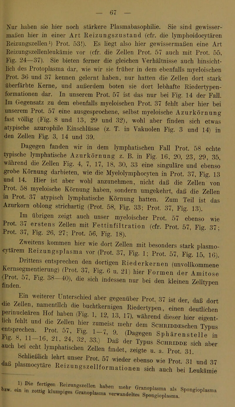 Kur haben sie hier noch stärkere Plasmabasophilie. Sie sind gewisser- maßen hier in einer Art Reizungszustand (cfr. die lymphoidocytären Reizungszellen1) Prot. 53!). Es liegt also hier gewissermaßen eine Art Reizungszellenleukämie vor (cfr. die Zellen Prot. 57 auch mit Prot. 55, Fig. 24—37). Sie bieten ferner die gleichen Verhältnisse auch hinsicht- lich des Protoplasma dar, wie wir sie früher in dem ebenfalls myeloischen Prot. 36 und 37 kennen gelernt haben, nur hatten die Zellen dort stark überfärbte Kerne, und außerdem boten sie dort lebhafte Riedertypen- formationen dar. In unserem Prot. 57 ist das nur bei Fig. 14 der Fall. Im Gegensatz zu dem ebenfalls myeloischen Prot. 37 fehlt aber hier bei unserem Prot. 57 eine ausgesprochene, selbst myeloische Azurkörnung fast völlig (Fig. 8 und 13, 29 und 32), wohl aber finden sich etwas atypische azurophile Einschlüsse (z. T. in Vakuolen Fig. 3 und 14) in den Zellen Fig. 3, 14 und 39. Dagegen fanden wir in dem lymphatischen Fall Prot. 58 echte typische lymphatische Azurkörnung z. B. in Fig. 16, 20, 23, 29, 35. während die Zellen Fig. 4, 7, 17, 18, 30, 33 eine singuläre und ebenso grobe Körnung darbieten, wie die Myelolymphocyten in Prot. 37, Fig. 13 und 14. Hier ist aber wohl anzunehmen, nicht daß die Zellen von Prot. 58 myeloische Körnung haben, sondern umgekehrt, daß die Zellen in Prot. 37 atypisch lymphatische Körnung hatten. Zum Teil ist das Azurkorn oblong strichartig (Prot. 58, Fig. 33; Prot. 37, Fig. 13). Im übrigen zeigt auch unser myeloischer Prot. 57 ebenso wie Prot. 37 erstens Zellen mit Fettinfiltration (cfr. Prot. 57 Fig. 37- Prot. 37, Fig. 26, 27; Prot. 56, Fig. 18). Zweitens kommen hier wie dort Zellen mit besonders stark plasmo- cytarem Reizungsplasma vor (Prot. 37, Fig. 1; Prot. 57, Fig. 15, 16). Drittens entsprechen den dortigen Riederkernen (unvollkommene Kernsegmentierung) (Prot. 37, Fig. 6 u. 21) Wer Formen der Amitose faden 0<’ F'S 38-40)’ dle Slch indessen mlr bei den kleinen Zelltypen Ein weiterer Unterschied aber gegenüber Prot. 37 ist der, daß dort die Zellen, namentlich die buchtkernigen Riedertypen, einen deutlichen perinnclearen Hof haben (Fig. 1, 12, 13, 17), während dieser hier eigent- hc fehl und die Zellen hier zumeist mehr dem Sc„EIDDESchen Typus e^prec en. Prot 57 Fig. 1_7, 9. (Dagegen Spkärenstejf“ „ ®i. i’ 11 “• 21, 24’ 32’ 33') Daß der Typus Schridde sich aber auch bei echt lymphatischen Zellen findet, zeigte u. a. Prot 31 Schließlich lehrt unser Prot. 57 wieder ebenso wie Prot. 31 und 37 daß plasmocytare Reizungszellformationen sich auch bei LuMnÜe W h Spongioplasnui