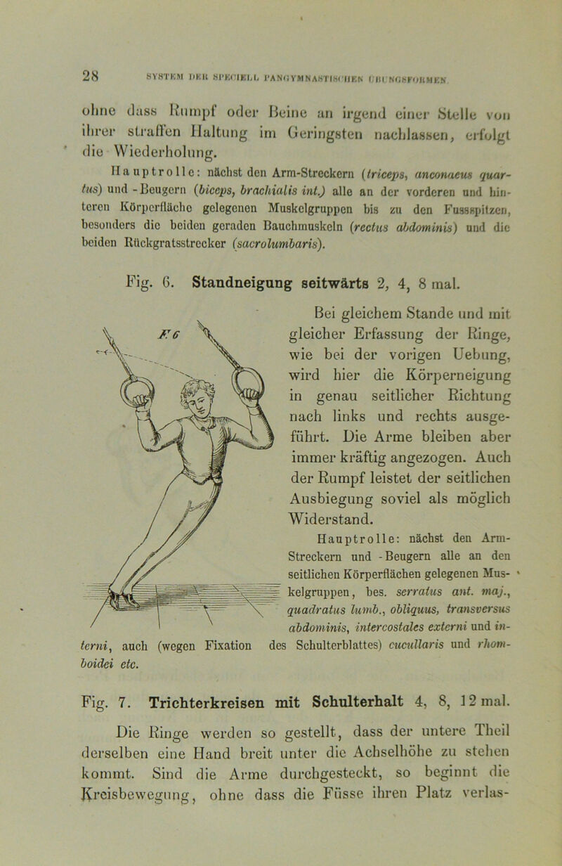 2S SVHTKIM DKll HI'Ki:iKI,L l’AN(iVMNAWTIWUKN i;ill NGKKOKMKS ohne dass Rumpi oder Beine an irgend einer Stelle von ihrer straften Haltung ini Gei'ingsten nachlassen, erfolgt die Wiederholung. Hauptrolle: nächst den Arm-Streckern {Iriceps, ancotuxeus quar- tus) und - Beugern (biceps, brachialis int.) alle an der vorderen und hin- teren Körpcrllächc gelegenen Muskclgruppen bis zu den Fussspitzen, besonders die beiden geraden Bauchmuskeln (rectus abdominis) und die beiden Rückgratsstrecker (sacrolumbaris). Fig. 6. Standneigung seitwärts 2, 4, 8 mal. Bei gleichem Stande und mit gleicher Erfassung der Ringe, wie bei der vorigen Hebung, wird hier die Körperneigung in genau seitlicher Richtung nach links und rechts ausge- führt. Die Arme bleiben aber immer kräftig angezogen. Auch der Rumpf leistet der seitlichen Ausbiegung soviel als möglich Widerstand. Hauptrolle: nächst den Arm- Streckern und -Beugern alle an den seitlichen Körperflächen gelegenen Mus- ‘ kelgruppen, bes. serraius ant. niaj., quadratus lumb., obliquus, transversus abdominis, intercostales externi und tn- terni, auch (wegen Fixation des Schulterblattes) cucullaris und rhom- boidei etc. Fig. 7. Trichterkreisen mit Schulterhalt 4, 8, 12 mal. Die Ringe werden so gestellt, dass der untere Theil derselben eine Hand breit unter die Achselhöhe zu stehen kommt. Sind die Arme durchgesteckt, so beginnt die Kreisbewegung, ohne dass die Füsse ihren Platz verlas-