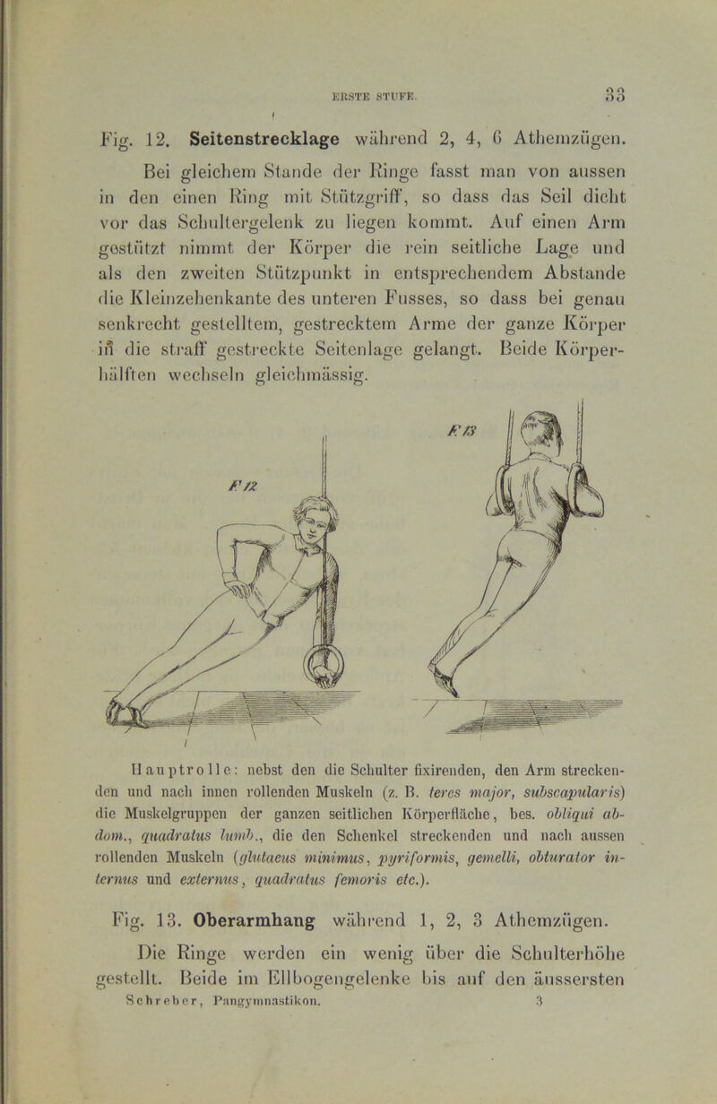 EJISTE STTFE. Fig. 12. Seitenstrecklage wälirend 2, 4, G Atliein/iigen. Bei gleiclieni Stande der Ringe fasst man von aussen in den einen Ring mit Stützgriff, so dass das Seil dicht vor das Schultei'gelenk zu liegen kommt. Auf einen Ai-m gestützt nimmt der Körper die i’ein seitliche Lage und als den zweiten Stützpunkt in entsprechendem Abstande flie Kleinzelienkante des unteren Pusses, so dass bei genau senkrecht gestelltem, gestrecktem Arme der ganze Körper id die sti'aff' gesti-eckte Seitenlage gelangt. Beide Körper- hälften wecliseln gleichmässig. Hauptrolle: nebst den die Schulter fixirenden, den Arm strecken- den und nach innen rollenden Muskeln (z. B. tercs niajor, suhscapularis) die Muskelgruppen der ganzen seitlichen Körperfläche, bes. ohliqiii ah- dom., quadratus lumh., die den Schenkel streckenden und nach aussen rollenden Muskeln {glutaeus minimus, pyriformis, gemelli, obturator in- ternus und exiermis, quadratus fenioris etc.}. Fig. 13. Oberarmhang während 1, 2, 3 Athemzügen. Die Ringe werden ein wenig über die Schulterhöhe gestellt. Beide im Ellbogengelenke bis auf den äussersten