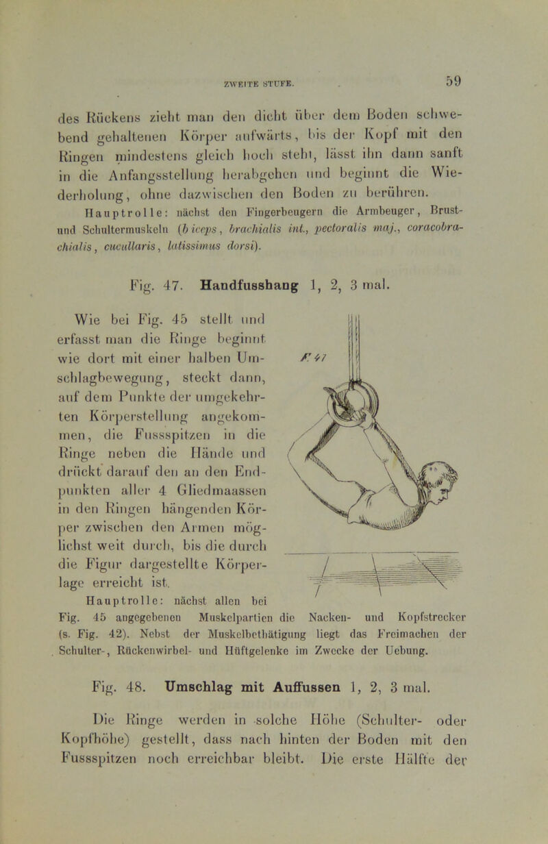 des Kückens zieht man den diclit üher dem Boden schwe- bend gehaltenen Köi’|jer aniwärts, bis dei‘ Kopf mit den Ringen mindestens gleich hoch steht, hisst ihn dann sanft in die Anfangsstelliing herabgohen und beginnt die Wie- derholung, ohne dazwischen den Boden zu herühren. Hauptrolle: nächst den Fingerheugern die Armbeuger, Rrust- und Scliultermuskeln {h iccps, brachialis int, pectoralis niaj., coracobra- chialis, cucullaris, latissimus dorsi). Fig. 47. Handfusshang 1, 2, 3 mal. Wie bei Fig. 45 stellt und erfasst man die Ringe beginnt wie dort mit einer halben Um- schlagbewegung, steckt dann, auf dem Punkte der umgekehr- ten Körperstellung angekom- men, die Fussspitzen in die Ringe neben die Hände und drückt darauf den an den End- punkten aller 4 Gliedmaassen in den Ringen hängenden Kör- per zwi.schen den Armen mög- lichst weit durch, bis die durch die Figur dargestellte Körper- lage erreicht ist. Hauptrolle: nächst allen bei Fig. 45 angegebenen Muskelparlien die Nacken- und Kopfstrecker (s. Fig. 42). Nebst der Muskclbctbätigung liegt das Freimacben der Schulter-, Rückenwirbel- und Hüftgelenke im Zwecke der Uebung. Fig. 48. Umschlag mit Auffussen 1, 2, 3 mal. Die Ringe werden in solche Höhe (Schultej-- oder Kopfhöhe) gestellt, dass nach hinten der Boden mit den Fussspitzen noch erreichbar bleibt. Die erste Hälfte der