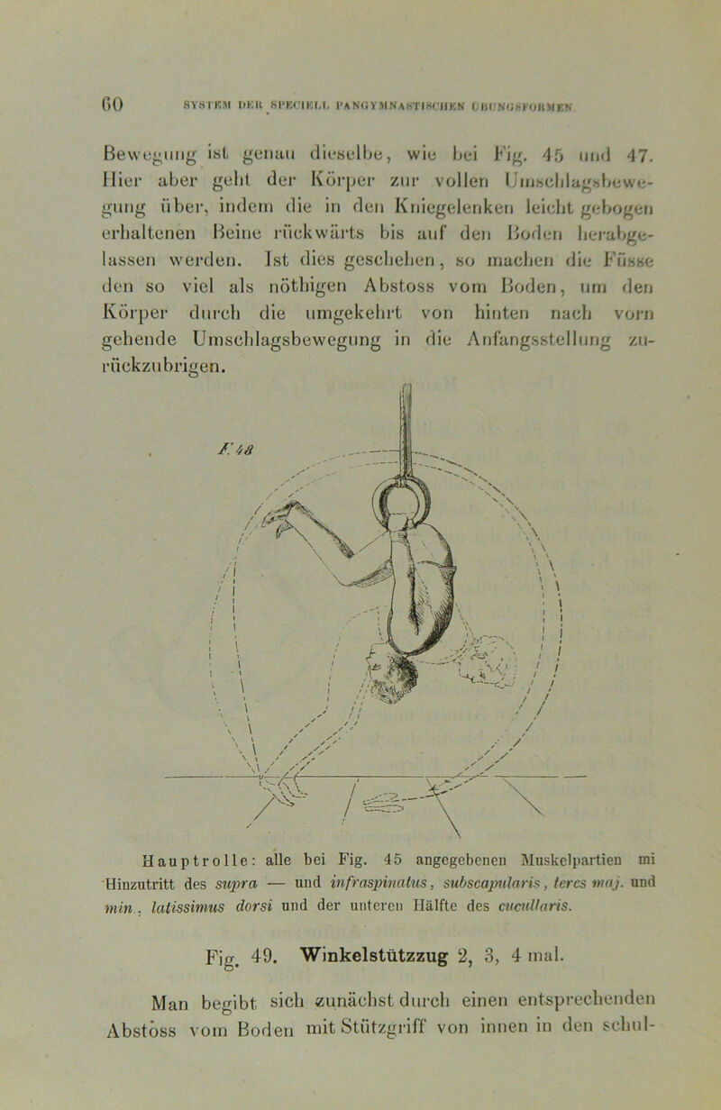 Bewegung ist genau dieselbe, wie bei Fig. 45 nn<l 47. Hier aber gebt der Körper zur vollen IJiuscblagsbewe- gung übel-, indem die in den Kniegelenken leicht gebogen erhaltenen Heine i'ückwiu’ts bis auf den Boden liei'abge- lassen werden. ]st dies geschehen, so machen die Füsse tlen so viel als nöthigen Abstoss vom Boden, mn den Körper dni’ch die umgekehrt von hinten nach voiai gehende Umschlagsbewegung in die Anfangsstellung zu- rückzu brigen. 'Hinzutritt des supra — und infraspinakis, subscapularis, (eres »taj. und min. latissimus dorsi und der unteren Hälfte des enenUaris. Fig. 49. Winkelstützzug 2, 3, 4 mal. Man begibt sich zunächst durch einen entsprechenden Abstöss vom Boden mit Stützgriff von innen in den schul-