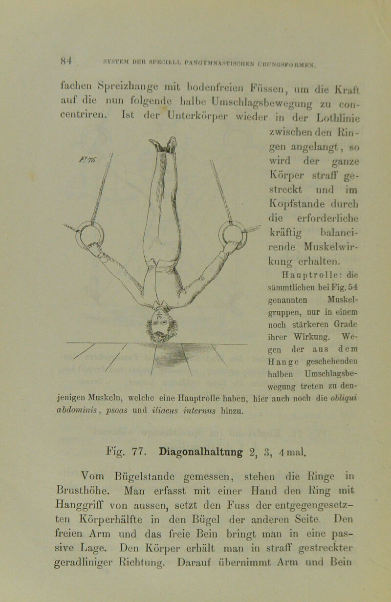 SVSTKM l)l-;il Sl-Ki;iM,l, l-ANdyMNAsriSl'llKN I lirN<;M(fOllMKS. iuclicn kSpi’ei/lüiiigü mit lujdeiifrijicii l^'iissciij um die Ki’ait auf die mm folgende liallu*. ümsdilagsljewegung zu cou- ceutrircii. Ist der ÜMterk(trj)er wiod(U‘ iu der Lfithliuie zwischen den Kit)- gen angelangt, so wii-d der ganze Körper straff ge- streckt und im Koj)fstande durch die erfordeidiche kräftig halanci- rende Muskehvir- kunji erhalten. Hauptrolle: die sämmtlichen bei Fig. 54 genannten Muskel- gruppen, nur in einem noch stärkeren Grade ihrer Wirkung. We- gen der aus dem Hange geschehenden halben Umschlagsbe- wegung treten zu den- jenigen Muskeln, welche eine Hauptrolle haben, hier auch noch die ohliqui abdominis, psoas und iliacus internus hinzu. Fi'g. 77. Diagonalhaltung 2, 3, 4 mal. Vom Bügelstande gemessen, stehen die Ringe in Briistliöhe. Man erfasst mit einer Hand den Ring mit Hanggriff von aussen, setzt den Fass der entgegengesetz- ten Körperhälfte in den Bügel der anderen Seite. Den freien Arm und das freie Bein bringt man in eine pas- sive Lage. Den Körper erhält man in straff gestreckter geradliniger Richtung. Darauf übernimmt Arm und Bein