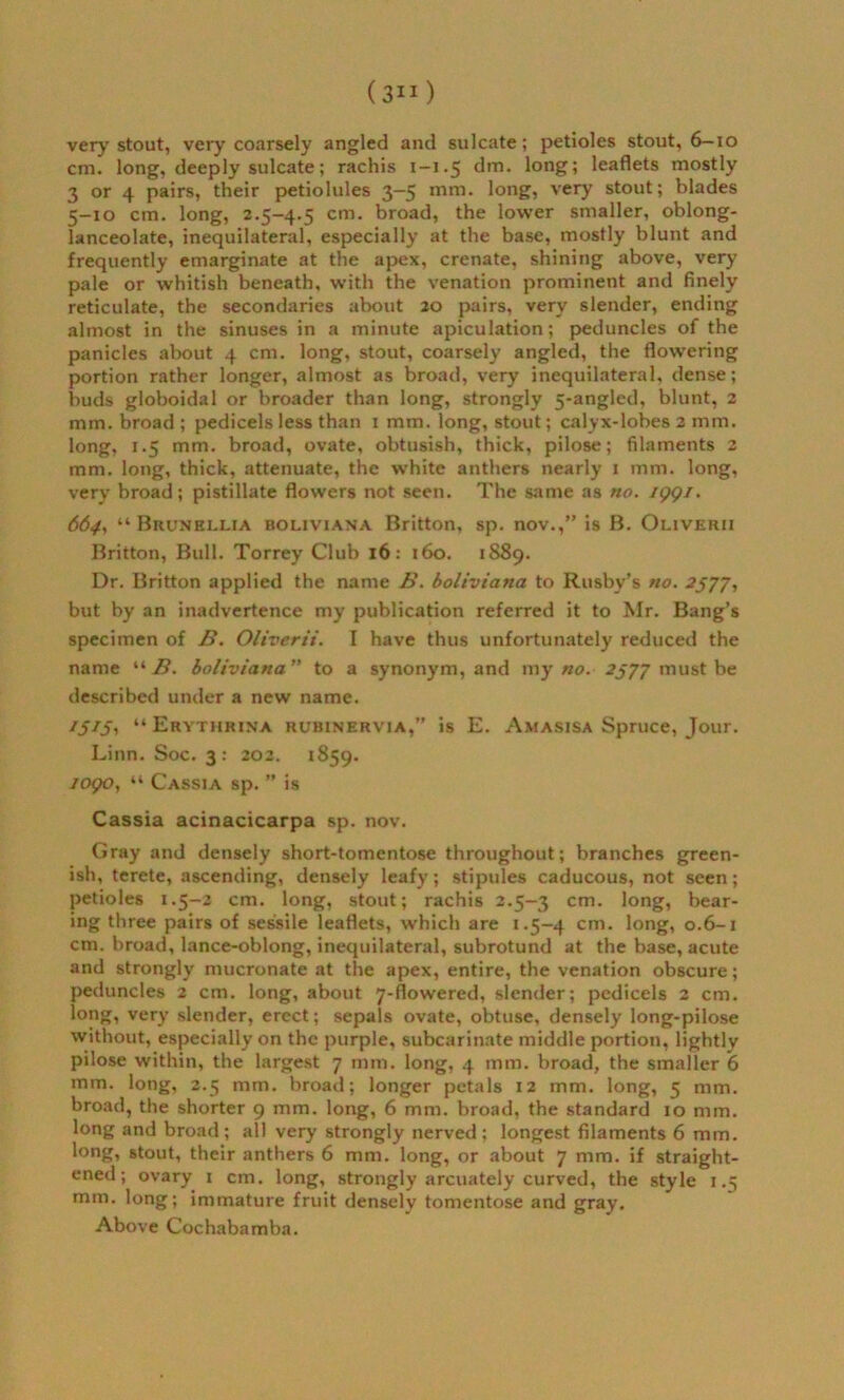 very stout, very coarsely angled and sulcate; petioles stout, 6—io cm. long, deeply sulcate; rachis 1—1.5 din. long; leaflets mostly 3 or 4 pairs, their petiolules 3-5 mm. long, very stout; blades 5-10 cm. long, 2.5-4.5 cm. broad, the lower smaller, oblong- lanceolate, inequilateral, especially at the base, mostly blunt and frequently emarginate at the apex, crenate, shining above, very pale or whitish beneath, with the venation prominent and finely reticulate, the secondaries about 20 pairs, very slender, ending almost in the sinuses in a minute apiculation; peduncles of the panicles about 4 cm. long, stout, coarsely angled, the flowering portion rather longer, almost as broad, very inequilateral, dense; buds globoidal or broader than long, strongly 5-angled, blunt, 2 mm. broad ; pedicels less than 1 mm. long, stout; calyx-lobes 2 mm. long, 1.5 mm. broad, ovate, obtusish, thick, pilose; filaments 2 mm. long, thick, attenuate, the white anthers nearly 1 mm. long, very broad; pistillate flowers not seen. The same as no. 1991. 664, “ Brunellia bolivriana Britton, sp. nov.,” is B. Oliverii Britton, Bull. Torrey Club 16: 160. 1889. Dr. Britton applied the name B. boliviano to Rusby’s no. 2577, but by an inadvertence my publication referred it to Mr. Bang’s specimen of B. Oliverii. I have thus unfortunately reduced the name “ B. boliviano” to a synonym, and my no. 2J77 must be described under a new name. /y/y, “ Erythrina rubinervia,” is E. Amasisa Spruce, Jour. Linn. Soc. 3: 202. 1S59. /opo, “ Cassia sp. ” is Cassia acinacicarpa sp. nov. Gray and densely short-tomentose throughout; branches green- ish, terete, ascending, densely leafy; stipules caducous, not seen; petioles 1.5-2 cm. long, stout; rachis 2.5-3 cm- long, bear- ing three pairs of sessile leaflets, which are 1.5-4 cm- long, 0.6-1 cm. broad, lance-oblong, inequilateral, subrotund at the base, acute and strongly mucronate at the apex, entire, the venation obscure; peduncles 2 cm. long, about 7-flowered, slender; pedicels 2 cm. long, very slender, erect; sepals ovate, obtuse, densely long-pilose without, especially on the purple, subcarinate middle portion, lightly pilose within, the largest 7 mm. long, 4 mm. broad, the smaller 6 mm. long, 2.5 mm. broad; longer petals 12 mm. long, 5 mm. broad, the shorter 9 mm. long, 6 mm. broad, the standard 10 mm. long and broad ; all very strongly nerved ; longest filaments 6 mm. long, stout, their anthers 6 mm. long, or about 7 mm. if straight- ened; ovary 1 cm. long, strongly arcuately curved, the style 1.5 mm. long; immature fruit densely tomentose and gray. Above Cochabamba.