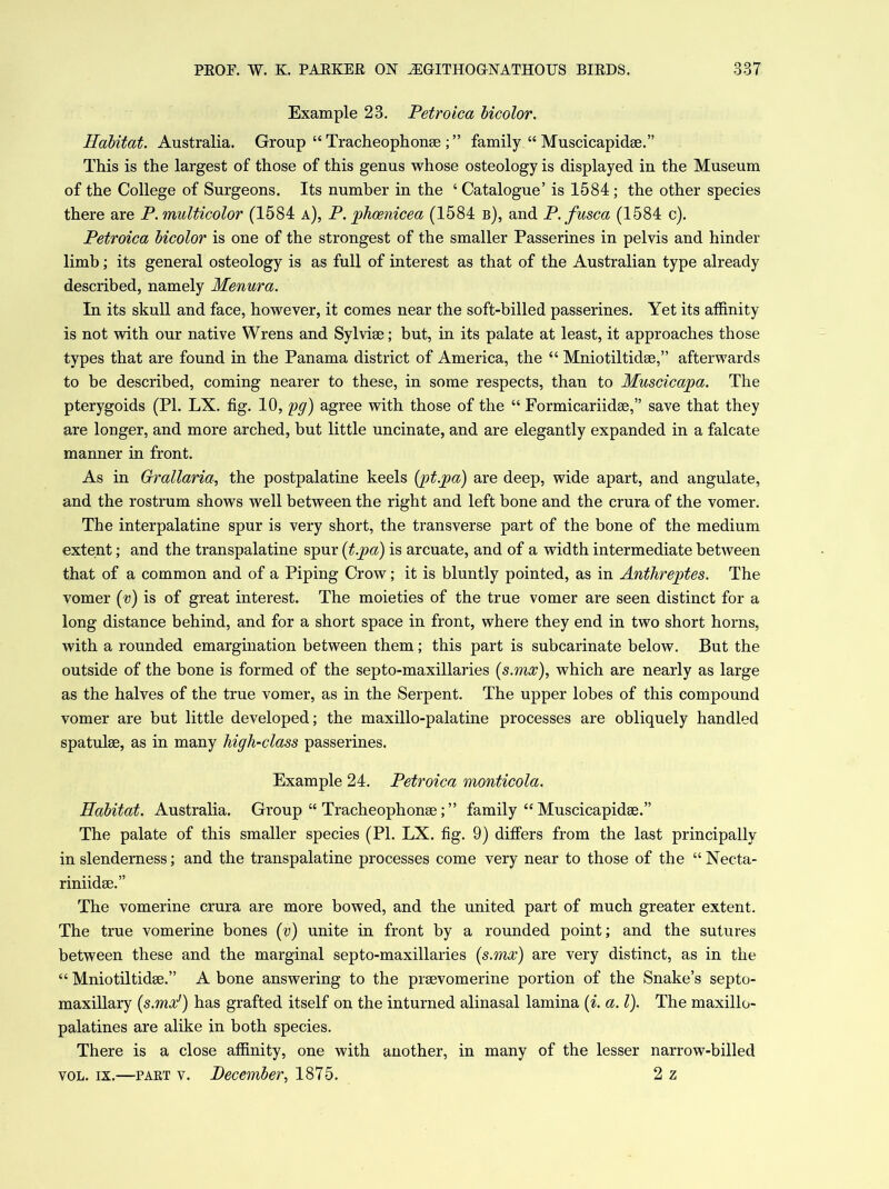 Example 23. Tetroica bicolor. Habitat. Australia. Group “ Tracheophonse ; ” family “ Muscicapidge.” This is the largest of those of this genus whose osteology is displayed in the Museum of the College of Surgeons. Its number in the ‘ Catalogue’ is 1584; the other species there are P. multicolor (1584 a), P. phcenicea (1584 b), and P. fuse a (1584 c). Petroica bicolor is one of the strongest of the smaller Passerines in pelvis and hinder limb; its general osteology is as full of interest as that of the Australian type already described, namely Menura. In its skull and face, however, it comes near the soft-billed passerines. Yet its affinity is not with our native Wrens and Sylvise; but, in its palate at least, it approaches those types that are found in the Panama district of America, the “ Mniotiltidae,” afterwards to be described, coming nearer to these, in some respects, than to Muscicapa. The pterygoids (PI. LX. fig. 10, pg) agree with those of the “ Formicariidse,” save that they are longer, and more arched, but little uncinate, and are elegantly expanded in a falcate manner in front. As in Grallaria, the postpalatine keels (pt.pa) are deep, wide apart, and angulate, and the rostrum shows well between the right and left bone and the crura of the vomer. The interpalatine spur is very short, the transverse part of the bone of the medium extent; and the transpalatine spur (t.pa) is arcuate, and of a width intermediate between that of a common and of a Piping Crow; it is bluntly pointed, as in Anthreptes. The vomer (v) is of great interest. The moieties of the true vomer are seen distinct for a long distance behind, and for a short space in front, where they end in two short horns, with a rounded emargination between them; this part is subcarinate below. But the outside of the bone is formed of the septo-maxillaries (s.mx), which are nearly as large as the halves of the true vomer, as in the Serpent. The upper lobes of this compound vomer are but little developed; the maxillo-palatine processes are obliquely handled spatulse, as in many liigh-class passerines. Example 24. Petroica monticola. Habitat. Australia. Group “ Tracheophonge; ” family “ Muscicapidge.” The palate of this smaller species (PI. LX. fig. 9) differs from the last principally in slenderness; and the transpalatine processes come very near to those of the “Necta- riniidge.” The vomerine crura are more bowed, and the united part of much greater extent. The true vomerine bones (v) unite in front by a rounded point; and the sutures between these and the marginal septo-maxillaries (s.mx) are very distinct, as in the “ Mniotiltidae.” A bone answering to the prsevomerine portion of the Snake’s septo- maxillary (s.mx') has grafted itself on the inturned alinasal lamina (i. a. 1). The maxillo- palatines are alike in both species. There is a close affinity, one with another, in many of the lesser narrow-billed vol. ix.—part v. December, 1875. 2 z