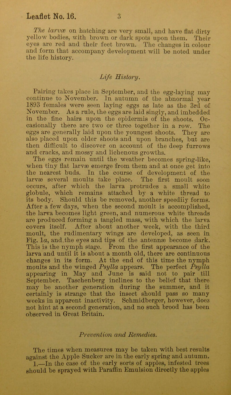The larvce on hatching are very small, and have flat dirty yelloAV bodies, with brown or dark spots upon them. Their eyes are red and their feet brown. The changes in colour and form that accompany development will be noted under the life history. Life History. Pairing takes place in September, and the egg-laying may continue to November. In autumn of the abnormal year 1893 females were seen laying eggs as late as the 3rd of November. As a rule, the eggs are laid singly, and imbedded in the fine hairs upon the epidermis of the shoots. Oc- casionally there are two or three together in a row. The eggs are generally laid upon the youngest shoots. They are also placed upon older shoots and upon branches, but are then diflPxCult to discover on account of the deep furrows and cracks, and mossy and lichenous growths. The eggs remain until the weather becomes spring-like, when tiny flat larvae emerge from them and at once get into the nearest buds. In the course of development of the larvae several moults take place. The first moult soon occurs, after which the larva protrudes a sniall white globule, which remains attached by a white thread to its body. Should this be removed, another speedily forms. After a few days, when the second moult is accomplished, the larva becomes light green, and numerous white threads are produced forming a tangled mass, with which the larva covers itself. After about another week, with the third moult, the rudimentary wings are developed, as seen in Pig. la, and the eyes and tips of the antennae become dark. This is the nymph stage. From the first appearance of the larva and until it is about a month old, there are continuous changes in its form. At the end of this time the nymph moults and the winged Psylla appears. The perfect Psylla appearing in May and June is said not to pair till September. Taschenberg inclines to the belief that there may be another generation during the summer, and it certainly is strange that the insect should pass so many weeks in apparent inactivity. Schmidberger, however, does not hint at a second generation, and no such brood has been observed in Great Britain. Prevention and Remedies. The times when measures may be taken with best results against the Apple Sucker are in the early spring and autumn. 1.—In the case of the early sorts of apples, infested trees should be sprayed with Paraffin Emulsion directly the apples