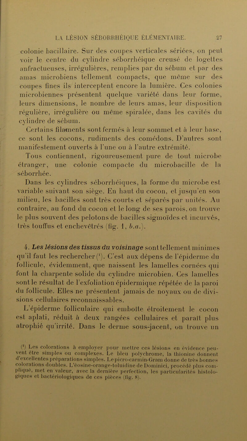 colonie bacillaire. Sur des coupes verticales sériées, on peut voir le centre du cylindre séborrhéique creusé de logeltes anfractueuses, irrégulières, remplies par du sébum et par des amas microbiens tellement compacts, que même sur des coupes fines ils interceptent encore la lumière. Ces colonies microbiennes présentent quelque variété dans leur forme, leurs dimensions, le nombre de leurs amas, leur disposition régulière, irrégulière ou même spiralée, dans les cavités du cylindre de sébum. Certains filaments sont fermés à leur sommet et à leur base, ce sont les cocons, rudiments des comédons. D’autres sont manifestement ouverts à l’une ou à l’autre extrémité. Tous contiennent, rigoureusement pure de tout microbe étranger, une colonie compacte du microbacille de la séborrhée. Dans les cylindres séborrhéiques, la forme du microbe est variable suivant son siège. En haut du cocon, et jusqu’en son milieu, les bacilles sont très courts et séparés par unités. Au contraire, au fond du cocon et le long de ses parois, on trouve le plus souvent des pelotons de bacilles sigmoïdes et incurvés, très touffus et enchevêtrés (fig. 1, b.ci.). 4. Les lésions des tissus du voisinage sont tellement minimes qu il faut les rechercher (*). C’est aux dépens de l’épiderme du follicule, évidemment, que naissent les lamelles cornées qui font la charpente solide du cylindre microbien. Ces lamelles sont le résultat de l'exfoliation épidermique répétée de la paroi du follicule. Elles ne présentent jamais de noyaux ou de divi- sions cellulaires reconnaissables. L épiderme folliculaire qui emboîte étroitement le cocon est aplati, réduit à deux rangées cellulaires et paraît plus atrophié qu’irrité. Dans le derme sous-jacent, on trouve un (\) Les colorations à employer pour mettre ces lésions en évidence peu- vent être simples ou complexes. Le bleu polychrome, la thionine donnent d’excellentes préparations simples. Lepicro-carmin-Gram donne de très bonnes colorations doubles. L’éosine-orange-toluidine de Dominici, procédé plus com- pliqué, met en valeur, avec la dernière perfection, les particularités histolo- giques et bactériologiques de ces pièces (fig. 8).