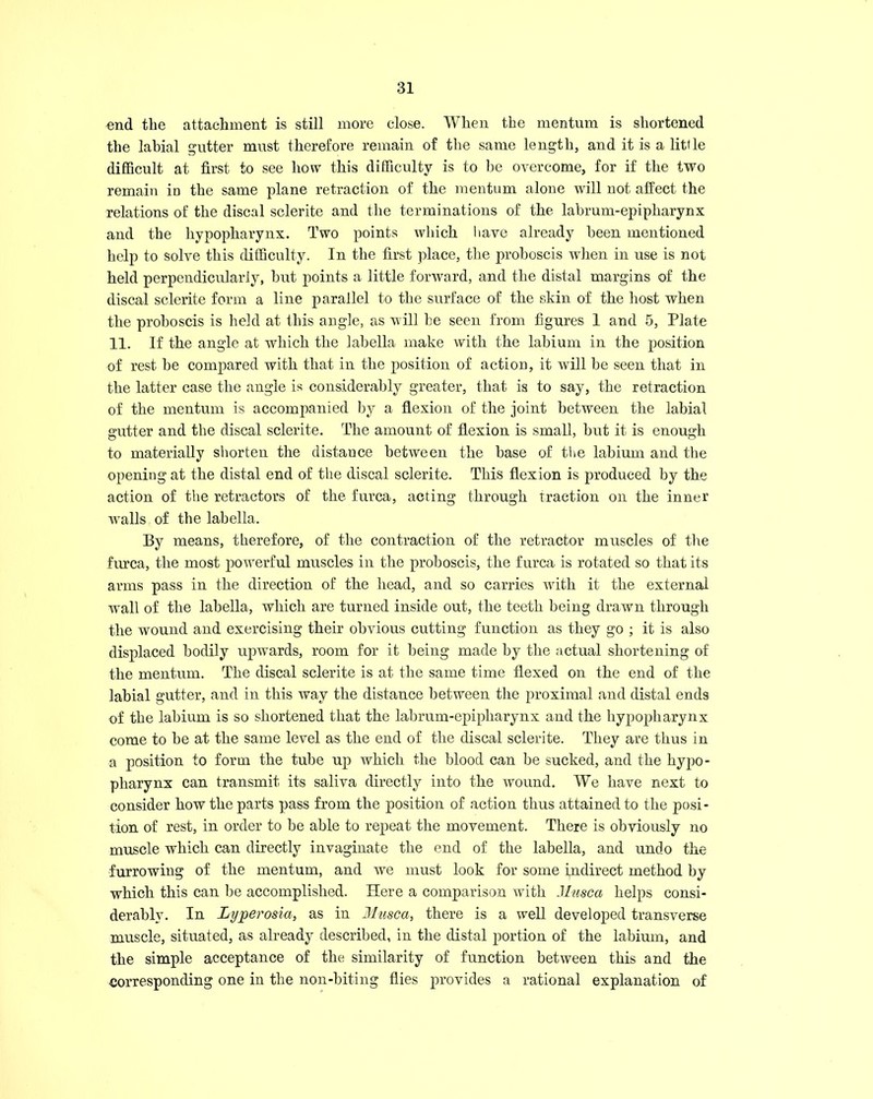 nnd the attachment is still more close. When the mentum is shortened the labial gutter must therefore remain of the same length, and it is a little difficult at first to see how this difficulty is to be overcome, for if the two remain in the same plane retraction of the mentum alone will not affect the relations of the discal sclerite and the terminations of the labrum-epipharynx and the hypopharynx. Two points which have already been mentioned help to solve this difficulty. In the first place, the proboscis when in use is not held perpendicularly, but points a little forward, and the distal margins of the discal sclerite form a line parallel to the surface of the skin of the host when the proboscis is held at this angle, as will be seen from figures 1 and 5, Plate 11. If the angle at which the labella make with the labium in the position of rest be compared with that in the position of action, it will be seen that in the latter case the angle is considerably greater, that is to say, the retraction of the mentum is accompanied by a flexion of the joint between the labial gutter and the discal sclerite. The amount of flexion is small, but it is enough to materially shorten the distance between the base of the labium and the opening at the distal end of the discal sclerite. This flexion is produced by the action of the retractors of the furca, acting through Traction on the inner walls of the labella. By means, therefore, of the contraction of the retractor muscles of the furca, the most powerful muscles in the proboscis, the furca is rotated so that its arms pass in the direction of the head, and so carries with it the external wall of the labella, which are turned inside out, the teeth being drawn through the wound and exercising their obvious cutting function as they go ; it is also displaced bodily upwards, room for it being made by the actual shortening of the mentum. The discal sclerite is at the same time flexed on the end of the labial gutter, and in this way the distance between the proximal and distal ends of the labium is so shortened that the labrum-epipharynx and the hypopharynx come to be at the same level as the end of the discal sclerite. They are thus in a position to form the tube up which the blood can be sucked, and the hypo- pharynx can transmit its saliva directly into the wound. We have next to consider how the parts pass from the position of action thus attained to the posi- tion of rest, in order to be able to repeat the movement. There is obviously no muscle which can directly invaginate the end of the labella, and undo the furrowing of the mentum, and we must look for some indirect method by which this can be accomplished. Here a comparison with Musca helps consi- derably. In Lyperosia, as in Musca, there is a well developed transverse muscle, situated, as already described, in the distal portion of the labium, and the simple acceptance of the similarity of function between this and the corresponding one in the non-biting flies provides a rational explanation of