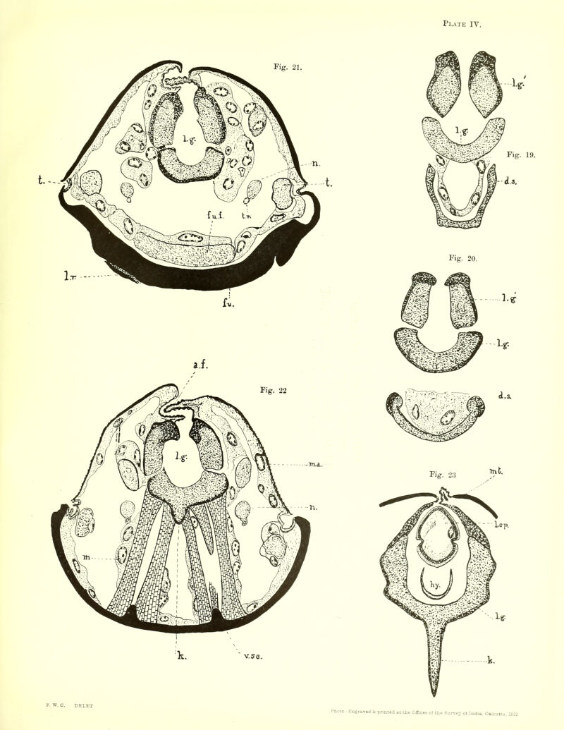 F. W. C. DELET Photo.- Engraved & printed at the Offices ci the Survey of India, Calcutta. 1912