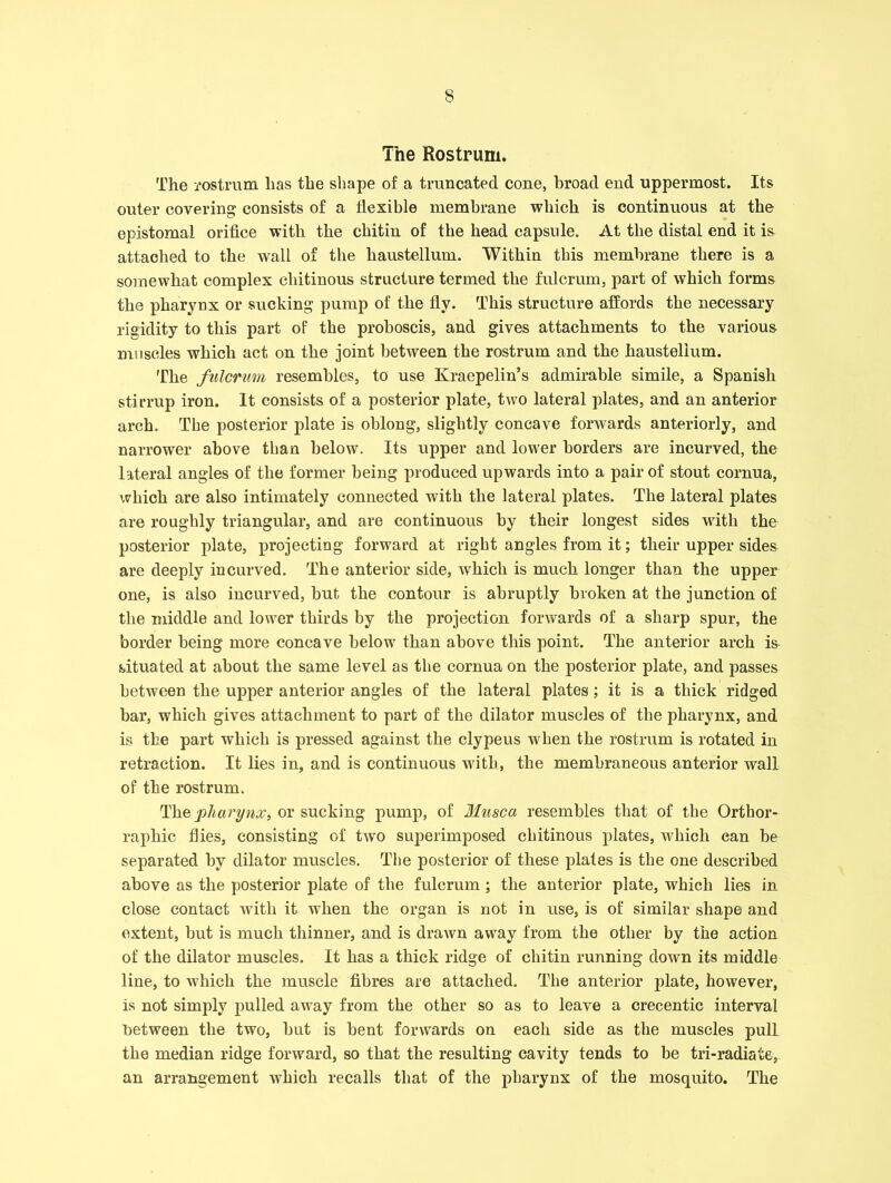 The Rostrum. The rostrum has the shape of a truncated cone, broad end uppermost. Its outer covering consists of a flexible membrane which is continuous at the epistomal orifice with the chitin of the head capsule. At the distal end it is attached to the wall of the haustellum. Within this membrane there is a somewhat complex chitinous structure termed the fulcrum, part of which forms the pharynx or sucking pump of the fly. This structure affords the necessary rigidity to this part of the proboscis, and gives attachments to the various muscles which act on the joint between the rostrum and the haustellum. The fulcrum resembles, to use Kraepelin’s admirable simile, a Spanish stirrup iron. It consists of a posterior plate, two lateral plates, and an anterior arch. The posterior plate is oblong, slightly concave forwards anteriorly, and narrower above than below. Its upper and lower borders are incurved, the literal angles of the former being produced upwards into a pair of stout cornua, which are also intimately connected with the lateral plates. The lateral plates are roughly triangular, and are continuous by their longest sides with the posterior plate, projecting forward at right angles from it; their upper sides are deeply incurved. The anterior side, which is much longer than the upper one, is also incurved, but the contour is abruptly broken at the junction of the middle and lower thirds by the projection forwards of a sharp spur, the border being more concave below than above this point. The anterior arch i& situated at about the same level as the cornua on the posterior plate, and passes between the upper anterior angles of the lateral plates ; it is a thick ridged bar, which gives attachment to part of the dilator muscles of the pharynx, and is the part which is pressed against the clypeus when the rostrum is rotated in retraction. It lies in, and is continuous with, the membraneous anterior wall of the rostrum. The pharynx, or sucking pump, of Musca resembles that of the Orthor- raphic flies, consisting of two superimposed chitinous plates, which can be separated by dilator muscles. The posterior of these plates is the one described above as the posterior plate of the fulcrum ; the anterior plate, which lies in close contact with it when the organ is not in use, is of similar shape and extent, but is much thinner, and is drawn away from the other by the action of the dilator muscles. It has a thick ridge of chitin running down its middle line, to which the muscle fibres are attached. The anterior plate, however, is not simply pulled away from the other so as to leave a crecentic interval ■between the two, but is bent forwards on each side as the muscles pulL the median ridge forward, so that the resulting cavity tends to be tri-radiate, an arrangement which recalls that of the pharynx of the mosquito. The