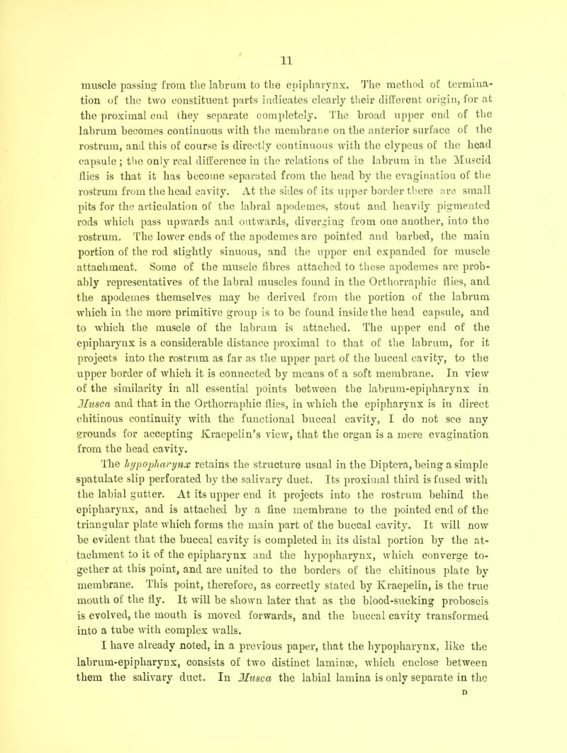 muscle passing from the labrum to the epipharynx. The method of termina- tion of the two constituent parts indicates clearly their different origin, for at the proximal end they separate completely. The broad upper end of the labrum becomes continuous with the membrane on the anterior surface of the rostrum, and this of course is directly continuous with the clypeus of the head capsule ; the only real difference in the relations of the labrum in the Muscid flies is that it has become separated from the head by the evaginatiou of the rostrum from the head cavity. At the sides of its upper border there are small pits for the articulation of the labral apodemes, stout and heavily pigmented rods which pass upwards and outwards, diverging from one another, into the rostrum. The lower ends of the apodemes are pointed and barbed, the main portion of the rod slightly sinuous, and the upper end expanded for muscle attachment. Some of the muscle fibres attached to these apodemes are prob- ably representatives of the labral muscles found in the Orthorraphic flies, and the apodemes themselves may be derived from the portion of the labrum which in the more primitive group is to be found inside the head capsule, and to which the muscle of the labrum is attached. The upper end of the epipharynx is a considerable distance proximal to that of the labrum, for it projects into the rostrum as far as the upper part of the buccal cavity, to the upper border of which it is connected by means of a soft membrane. In view of the similarity in all essential points between the labrum-epipharynx in JIusca and that in the Orthorraphic flies, in which the epipharynx is in direct cliitinous continuity with the functional buccal cavity, I do not see any grounds for accepting Kraepelin’s view, that the organ is a mere evagination from the head cavity. The hypopharynx retains the structure usual in the Diptera, being a simple spatulate slip perforated by the salivary duct. Its proximal third is fused with the labial gutter. At its upper end it projects into the rostrum behind the epipharynx, and is attached by a fine membrane to the pointed end of the triangular plate which forms the main part of the buccal cavity. It will now be evident that the buccal cavity is completed in its distal portion by the at- tachment to it of the epipharynx and the hypopharynx, which converge to- gether at this point, and are united to the borders of the chitinous plate by membrane. This point, therefore, as correctly stated by Kraepelin, is the true mouth of the fly. It will be shown later that as the blood-sucking proboscis is evolved, the mouth is moved forwards, and the buccal cavity transformed into a tube with complex walls. I have already noted, in a previous paper, that the hypopharynx, like the labrum-epipharynx, consists of two distinct laminse, which enclose between them the salivary duct. In Musca the labial lamina is only separate in the I)