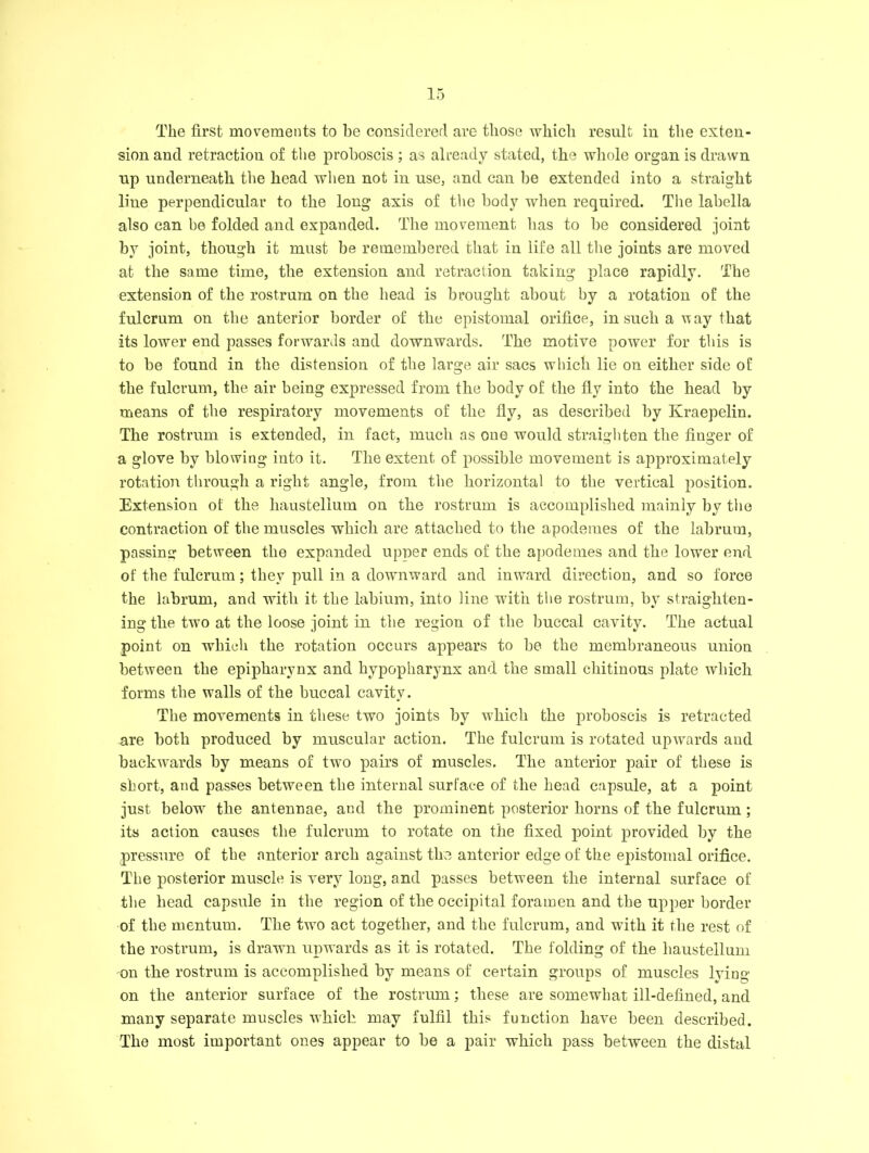 The first movements to be considered are those which result in the exten- sion and retraction of the proboscis ; as already stated, the whole organ is drawn up underneath the head when not in use, and can be extended into a straight liue perpendicular to the long axis of the body when required. The labella also can be folded and expanded. The movement has to be considered joint by joint, though it must be remembered that in life all the joints are moved at the same time, the extension and retraction taking place rapidly. The extension of the rostrum on the head is brought about by a rotation of the fulcrum on the anterior border of the epistomal orifice, in such a vt ay that its lower end passes forwards and downwards. The motive power for this is to be found in the distension of the large air sacs which lie on either side of the fulcrum, the air being expressed from the body of the fly into the head by means of the respiratory movements of the fly, as described by Kraepelin. The rostrum is extended, in fact, much as one would straighten the Auger of a glove by blowing into it. The extent of possible movement is approximately rotation through a right angle, from the horizontal to the vertical position. Extension ot the liaustelium on the rostrum is accomplished mainly by the contraction of the muscles which are attached to the apodeiues of the labrum, passing between the expanded upper ends of the apodemes and the lower end of the fulcrum; they pull in a downward and inward direction, and so force the labrum, and with it the labium, into line with the rostrum, by straighten- ing the two at the loose joint in the region of the buccal cavity. The actual point on which the rotation occurs appears to be the membraneous union between the epipharynx and hypopharynx and the small chitinous plate which forms the walls of the buccal cavity. The movements in these two joints by which the proboscis is retracted are both produced by muscular action. The fulcrum is rotated upwards and backwards by means of two pairs of muscles. The anterior pair of these is short, and passes between the internal surface of the head capsule, at a point just below the antennae, and the prominent posterior horns of the fulcrum; its action causes the fulcrum to rotate on the fixed point provided by the pressure of the anterior arch against the anterior edge of the epistomal orifice. The posterior muscle is very long, and passes between the internal surface of the head capsule in the region of the occipital foramen and the upper border of the mentum. The two act together, and the fulcrum, and with it the rest of the rostrum, is drawn upwards as it is rotated. The folding of the liaustelium on the rostrum is accomplished by means of certain groups of muscles lying- on the anterior surface of the rostrum; these are somewhat ill-defined, and many separate muscles which may fulfil this function have been described. The most important ones appear to be a pair which pass between the distal