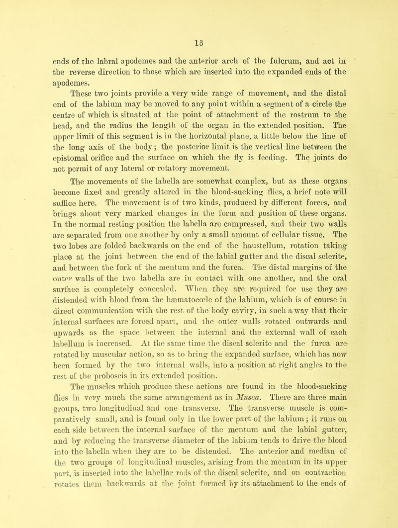 ends of the labral apodemes and the anterior arch of the fulcrum, and act in the reverse direction to those which are inserted into the expanded ends of the apodemes. These two joints provide a very wide range of movement, and the distal end of the labium may be moved to any point within a segment of a circle the centre of which is situated at the point of attachment of the rostrum to the head, and the radius the length of the organ in the extended position. The upper limit of this segment is in the horizontal plane, a little below the line of the long axis of the body; the posterior limit is the vertical line between the epistomal orifice and the surface on which the fly is feeding. The joints do not permit of any lateral or rotatory movement. The movements of the labella are somewhat complex, but as these organs become fixed and greatly altered in the blood-sucking flies, a brief note will suffice here. The movement is of two kinds, produced by different forces, and brings about very marked changes in the form and position of these organs. In the normal resting position the lahella are compressed, and their two walls are separated from one another by only a small amount of cellular tissue. The two lobes are folded backwards on the end of the haustellum, rotation taking place at the joint between the end of the labial gutter and the discal sclerite, and between the fork of the mentum and the furca. The distal margins of the outer walls of the two labella are in contact with one another, and the oral surface is completely concealed. When they are required for use they are distended with blood from the lisematocoele of the labium, which is of course in direct communication with the rest of the body cavity, in such away that their internal surfaces are forced apart, and the outer walls rotated outwards and upwards as the space between the internal and the external wall of each labellum is increased. At the same time the discal sclerite and the furca are rotated by muscular action, so as to bring the expanded surface, which has now been formed by the two internal walls, into a position at right angles to the rest of the proboscis in its extended position. The muscles which produce these actions are found in the blood-sucking flies in very much the same arrangement as in Musca. There are three main groups, two longitudinal and one transverse. The transverse muscle is com- paratively small, and is found only in the lower part of the labium; it runs on each side between the internal surface of the mentum and the labial gutter, and by reducing the transverse diameter of the labium tends to drive the blood into the labella when they are to be distended. The anterior and median of the two groups of longitudinal muscles, arising from the mentum in its upper part, is inserted into the labellar rods of the discal sclerite, and on contraction rotates them backwards at the joint formed by its attachment to the ends of
