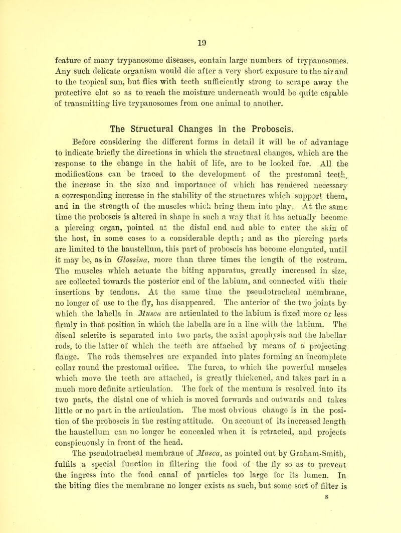 feature of many trypanosome diseases, contain large numbers of trypanosomes. Any such delicate organism would die after a very short exposure to the air and to the tropical sun, hut flies with teeth sufficiently strong to scrape away the protective clot so as to reach the moisture underneath would he quite capable of transmitting live trypanosomes from one animal to another. The Structural Changes in the Proboscis. Before considering the different forms in detail it will he of advantage to indicate briefly the directions in which the structural changes, which are the response to the change in the habit of life, are to he looked for. All the modifications can he traced to the development of the prestomal teeth, the increase in the size and importance of which has rendered necessary a corresponding increase in the stability of the structures which support them, and in the strength of the muscles which bring them into play. At the same time the proboscis is altered in shape in such a way that it has actually become a piercing organ, pointed at the distal end and able to enter the skin of the host, in some cases to a considerable depth; and as the piercing parts are limited to the haustellum, this part of proboscis has become elongated, until it may he, as in Glossina, more than three times the length of the rostrum. The muscles which actuate the biting apparatus, greatly increased in size, are collected towards the posterior end of the labium, and connected with their insertions by tendons. At the same time the pseudotracheal membrane, no longer of use to the fly, has disappeared. The anterior of the two joints by which the labella in Musca are articulated to the labium is fixed more or less firmly in that position in which the labella are in a line with the labium. The discal sclerite is separated into two parts, the axial apophysis and the labellar rods, to the latter of which the teeth are attached by means of a projecting flange. The rods themselves are expanded into plates forming an incomplete collar round the prestomal orifice. The furea, to which the powerful muscles which move the teeth are attached, is greatly thickened, and takes part in a much more definite articulation. The fork of the mentum is resolved into its two parts, the distal one of which is moved forwards and outwards and takes little or no part in the articulation. The most obvious change is in the posi- tion of the proboscis in the resting attitude. On account of its increased length the haustellum can no longer be concealed when it is retracted, and projects conspicuously in front of the head. The pseudotracheal membrane of Musca, as pointed out by Graham-Smitb, fulfils a special function in filtering the food of the fly so as to prevent the ingress into the food canal of particles too large for its lumen. In the biting flies the membrane no longer exists as such, but some sort of filter is £