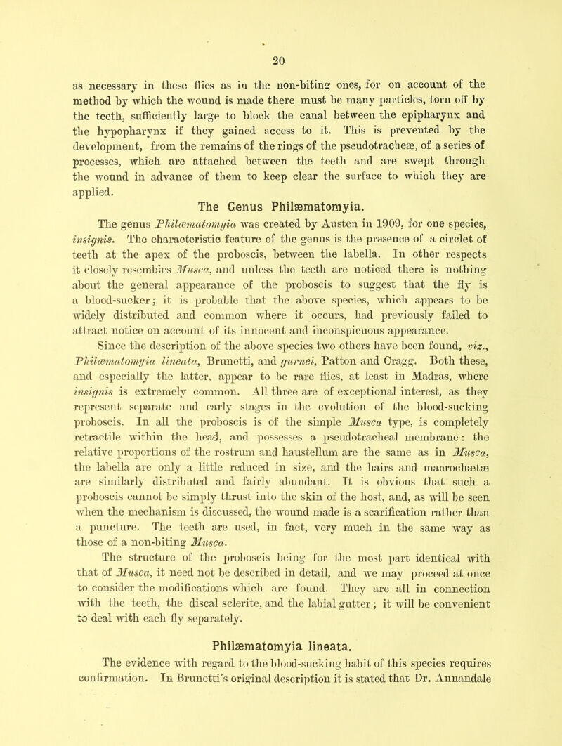 as necessary in these flies as in the non-biting ones, for on account of the method by which the wTound is made there must be many particles, torn off by the teeth, sufficiently large to block the canal between the epipharynx and the hypopharynx if they gained access to it. This is prevented by the development, from the remains of the rings of the pseudotrachese, of a series of processes, which are attached between the teeth and are swept through the wound in advance of them to keep clear the surface to which they are applied. The Genus Philsematomyia. The genus Thilcematomyia was created by Austen in 1909, for one species, insignis. The characteristic feature of the genus is the presence of a circlet of teeth at the apex of the proboscis, between the labella. In other respects it closely resembles Musca, and unless the teeth are noticed there is nothing about the general appearance of the proboscis to suggest that the fly is a blood-sucker; it is probable that the above species, which appears to be widely distributed and common where it occurs, had previously failed to attract notice on account of its innocent and inconspicuous appearance. Since the description of the above species two others have been found, viz., Thilcematomyia lineata, Brunotti, and gurnet, Patton and Cragg. Both these, and especially the latter, appear to be rare flies, at least in Madras, where insignis is extremely common. All three are of exceptional interest, as they represent separate and early stages in the evolution of the blood-sucking proboscis. In all the proboscis is of the simple Musca type, is completely retractile within the head, and possesses a pseudotracheal membrane: the relative proportions of the rostrum and haustellum are the same as in Musca, the labella are only a little reduced in size, and the hairs and maerochaetse are similarly distributed and fairly abundant. It is obvious that such a proboscis cannot be simply thrust into the skin of the host, and, as will be seen when the mechanism is discussed, the wound made is a scarification rather than a puncture. The teeth are used, in fact, very much in the same way as those of a non-biting Musca. The structure of the proboscis being for the most part identical with that of Musca, it need not be described in detail, and we may proceed at once to consider the modifications which are found. They are all in connection with the teeth, the discal sclerite, and the labial gutter; it will be convenient to deal with each fly separately. Philaematomyia lineata. The evidence with regard to the blood-sucking habit of this species requires confirmation. In Brunetti’s original description it is stated that Ur. Annandale