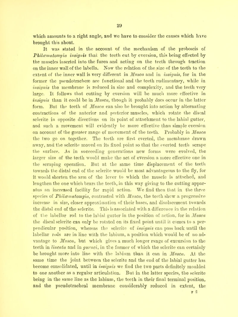 which amounts to a right angle, and we have to consider the causes which have brought this about. It was stated in the account of the mechanism of the proboscis of Philcematomyia insignis that the teeth cut by eversion, this being effected by the muscles inserted into the furca and acting on the teeth through traction on the inner wall of the labella. Now the relation of the size of the teeth to the extent of the inner wall is very different in Mnsca and in insignis, for in the former the pseudotracliem are functional and the teeth rudimentary, while in insignis the membrane is reduced in size and complexity, and the teeth very large. It follows that cutting by eversion will be much more effective in insignis than it could be in Mnsca, though it probably does occur in the latter form. But the teeth of Mnsca can also be brought into action by alternating contractions of the anterior and posterior muscles, which rotate the discal sclerite in opposite directions on its point of attachment to the labial gutter, and such a movement will evidently he more effective than simple eversion on account of the greater range of movement of the teeth. Probably in Mnsca the two go on together. The teeth are first everted, the membrane drawn away, and the sclerite moved on its fixed point so that the everted teeth scrape the surface. i\s in succeeding generations new forms were evolved, the larger size of the teeth would make the act of eversion a more effective one in the scraping operation. But at the same time displacement of the teeth towards the distal end of the sclerite would be most advantageous to the fly, for it would shorten the arm of the lever to which the muscle is attached, and lengthen the one which bears the teeth, in this way giving to the cutting appar- atus an increased facility for rapid action. We find then that in the three species of Philcematomyia, contrasted with Mnsca, the teeth shew a progressive increase in size, closer approximation of their bases, and displacement towards the distal end of the sclerite. This is associated with a difference in the relation of the labellar rod to the labial gutter in the position of action, for in Mnsca the discal sclerite can only be rotated on its fixed point until it comes to a per- pendicular position, whereas the sclerite of insignis can pass back until the labellar rods are in line with the labium, a position which would be of no ad- vantage to Mnsca, but which gives a much longer range of excursion to the teeth in lineata and in gurnei, in the former of which the sclerite can certainly be brought more into line with the labium than it can in Mnsca. At the same time the joint between the sclerite and the end of the labial gutter has become consolidated, until in insignis we find the two parts definitely moulded to one another as a regular articulation. But in the latter species, the sclerite being in the same line as the labium, the teeth in their final terminal position, and the pseudotrackeal membrane considerably reduced in extent, the F 2