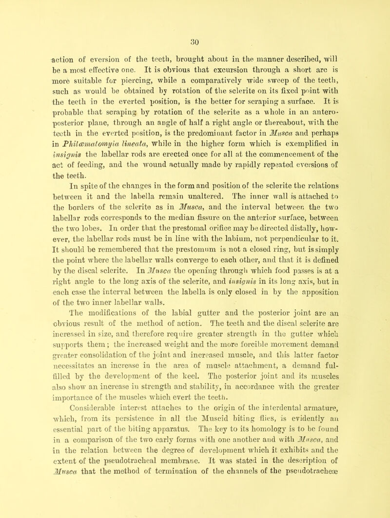 action of eversion of the teeth, brought about in the manner described, will be a most effective one. It is obvious that excursion through a short arc is more suitable for piercing, while a comparatively wide sweep of the teeth, such as would he obtained by rotation of the sclerite on its fixed point with the teeth in the everted position, is the better for scraping a surface. It is probable that scraping by rotation of the sclerite as a whole in an antero- posterior plane, through an angle of half a right angle or thereabout, with the teeth in the everted position, is the predominant factor in Musca and perhaps in Pliilcematomyia lineata, while in the higher form which is exemplified in insignis the labellar rods are erected once for all at the commencement of the act of feeding, and the wound actually made by rapidly repeated eversions of the teeth. In spite of the changes in the form and position of the sclerite the relations between it and the labella remain unaltered. The inner wall is attached to the borders of the sclerite as in Musca, and the interval between the two labellar rods corresponds to the median fissure on the anterior surface, between the two lobes. In order that the prestomal orifice maybe directed distally, how- ever, the labellar rods must be in line with the labium, not perpendicular to it. It should be remembered that the prestomum is not a closed ring, but is simply the point where the labellar walls converge to each other, and that it is defined by the discal sclerite. In Musca the opening through which food passes is at a right angle to the long axis of the sclerite, and insignis in its long axis, but in each case the interval between the labella is only closed in by the apposition of the two inner labellar walls. The modifications of the labial gutter and the posterior joint are an obvious result of the method of action. The teeth and the discal sclerite are increased in size, and therefore require greater strength in the gutter which supports them; the increased weight and the more forcible movement demand greater consolidation of the joint and increased muscle, and this latter factor necessitates an increase in the area of muscle attachment, a demand ful- filled by the development of the keel. The posterior joint and its muscles also show an increase in strength and stability, in accordance with the greater importance of the muscles which evert the teeth. Considerable interest attaches to the origin of the interdental armature, which, from its persistence in all the Muscid biting flies, is evidently an essential part of the biting apparatus. The key to its homology is to be found in a comparison of the two early forms with one another and with Musca, and in the relation between the degree of development which it exhibits and the extent of the pseudotracheal membrane. It was stated in the description of Musca that the method of termination of the channels of the pseudotracheae