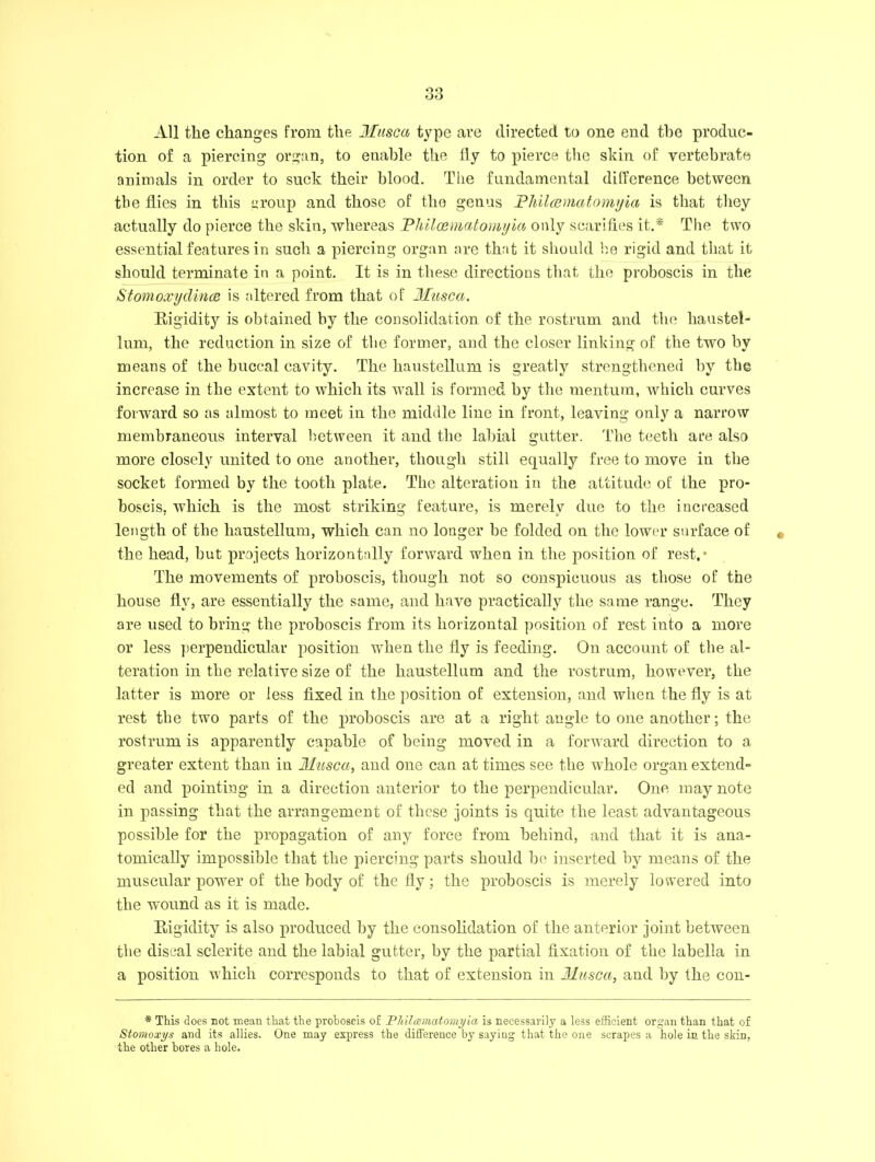 All the changes from the Musca type are directed to one end tiro produc- tion of a piercing organ, to euable the fly to pierce the skin of vertebrate animals in order to suck their blood. The fundamental diflcrence between the flies in this group and those of tlio genus Philcematomyia is that they actually do pierce the skin, whereas Philcematomyia only scarifies it.* The two essential features in such a piercing organ are that it should he rigid and that it should terminate in a point. It is in these directions that the proboscis in the Stomoxydince is altered from that of Musca. Rigidity is obtained by the consolidation of the rostrum and the liaustel- lum, the reduction in size of tbe former, and the closer linking of the two by means of the buccal cavity. The haustellum is greatly strengthened by the increase in the extent to which its wall is formed by the mentum, which curves forward so as almost to meet in the middle line in front, leaving only a narrow membraneous interval between it and the labial gutter. The teeth are also more closely united to one another, though still equally free to move in the socket formed by the tooth plate. Tbe alteration in the attitude of the pro- boscis. which is the most striking feature, is merely due to the increased length of the haustellum, which can no longer be folded on the lower surface of the head, but projects horizontally forward when in the position of rest,* The movements of proboscis, though not so conspicuous as those of the house fly, are essentially the same, and have practically the same range. They are used to bring the proboscis from its horizontal position of rest into a more or less perpendicular position wThen the fly is feeding. On account of the al- teration in the relative size of the haustellum and the rostrum, however, the latter is more or less fixed in the position of extension, and when the fly is at rest the two parts of the proboscis are at a right angle to one another; the rostrum is apparently capable of being moved in a forward direction to a greater extent than in Musca, and one can at times see the whole organ extend- ed and pointing in a direction anterior to the perpendicular. One may note in passing that the arrangement of these joints is quite the least advantageous possible for the propagation of any force from behind, and that it is ana- tomically impossible that the piercing parts should be inserted by means of the muscular power of the body of the fly; the proboscis is merely lowered into the wound as it is made. Rigidity is also produced by the consolidation of the anterior joint between tbe discal sclerite and the labial gutter, by the partial fixation of the labella in a position which corresponds to that of extension in Musca, and by the con- * This does not mean that the proboscis of Philcematomyia is necessarily a less efficient organ than that of Stomoxys and its allies. One may express the difference by saying that the one scrapes a hole in the skin, the other bores a hole.