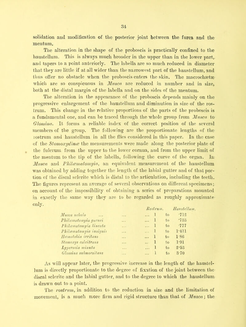 solidation and modification of the posterior joint between the furca and the mentum. The alteration in the shape of the proboscis is practically confined to the hanstellum. This is always much broader in the upper than in the lower part,, and tapers to a point anteriorly. The labella are so much reduced in diameter that they are little if at all wider than the narrowest part of the liaustellum, and thus offer no obstacle when the proboscis enters the skin. The macrochaetae which are so conspicuous in Musca are reduced in number and in size, both at the distal margin of the labella and on the sides of the mentum. The alteration in the appearance of the proboscis depends mainly on the progressive enlargement of the liaustellum and diminution in size of the ros- trum. This change in the relative proportions of the parts of the proboscis is a fundamental one, and can be traced through the whole group from Muscct to Glossina. It forms a reliable index of the correct position of the several members of the group. The following are the proportionate lengths of the rostrum and hanstellum in all the flies considered in this paper. In the case of the Stonioxydince the measurements were made along the posterior plate of the fulcrum from the upper to the lower cornua, and from the upper limit of the mentum to the tip of the iabella, following the curve of the organ. In Muscct and Philcematomyici, an equivalent measurement of the liaustellum was obtained by adding together the length of the labial gutter and of that por- tion of the discal sclerite which is distal to the articulation, including the teeth. The figures represent an average of several observations on different specimens; on account of the impossibility of obtaining a series of preparations mounted in exactly the same way they are to be regarded as roughly approximate only. Mnsca nehulo Rostrum. ... 1 to liaustellum. •712 Philamatomyia gurnei ... 1 to •733 Philamatomyia lineata ... 1 to •777 Philamatomyia insignis ... 1 to 1*411 Hamatobia irritans ... 1 to 1-86 Stomoxys calcitrans .. 1 to 1-91 Lyyerosia minut-a ... 1 to 2-53 Glossina submorsitans t . • ... 1 to 370 As will appear later, the progressive increase in the length of the liaustel- lum is directly proportionate to the degree of fixation of the joint between the discal sclerite and the labial gutter, and to the degree to which the liaustellum is drawn out to a point. The rostrum, in addition to the reduction in size and the limitation of movement, is a much more firm and rigid structure than that of Muscct; the