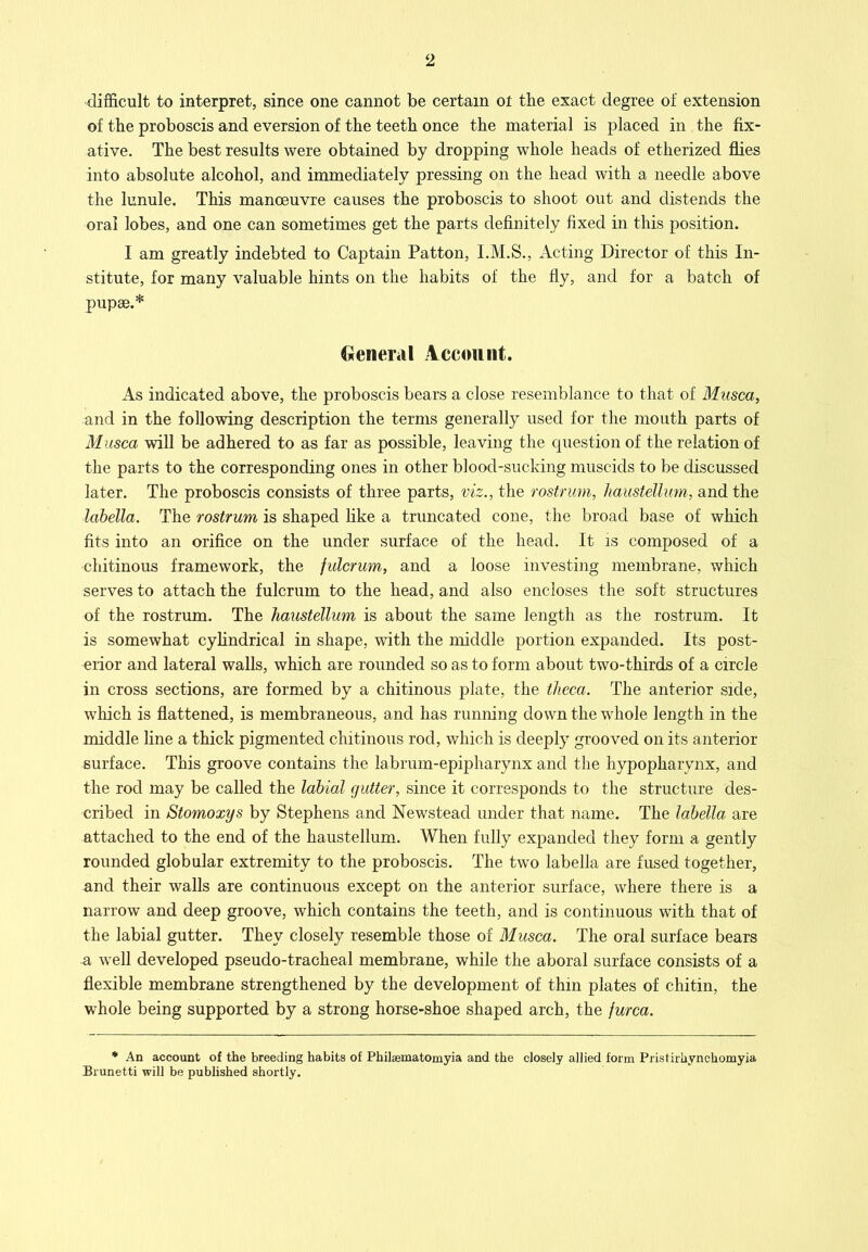 difficult to interpret, since one cannot be certain ot the exact degree of extension of the proboscis and eversion of the teeth once the material is placed in the fix- ative. The best results were obtained by dropping whole heads of etherized flies into absolute alcohol, and immediately pressing on the head with a needle above the lunule. This manoeuvre causes the proboscis to shoot out and distends the oral lobes, and one can sometimes get the parts definitely fixed in this position. I am greatly indebted to Captain Patton, Acting Director of this In- stitute, for many valuable hints on the habits of the fly, and for a batch of pupae.* General Account. As indicated above, the proboscis bears a close resemblance to that of Musca, and in the following description the terms generally used for the mouth parts of M usca will be adhered to as far as possible, leaving the question of the relation of the parts to the corresponding ones in other blood-sucking muscids to be discussed later. The proboscis consists of three parts, viz., the rostrum, liaustellmn, and the lobelia. The rostrum is shaped like a truncated cone, the broad base of which fits into an orifice on the under surface of the head. It is composed of a chitinous framework, the fulcrum, and a loose investing membrane, which serves to attach the fulcrum to the head, and also encloses the soft structures of the rostrum. The haiistellum is about the same length as the rostrum. It is somewhat cyhndrical in shape, with the middle portion expanded. Its post- erior and lateral walls, which are rounded so as to form about two-thirds of a circle in cross sections, are formed by a chitinous plate, the theca. The anterior side, which is flattened, is membraneous, and has running down the whole length in the middle line a thick pigmented chitinous rod, which is deeply grooved on its anterior surface. This groove contains the labrum-epipharynx and the hypopharynx, and the rod may be called the labial gutter, since it corresponds to the structure des- cribed in Stomoxys by Stephens and Newstead under that name. The lobelia are attached to the end of the haustellum. When fully expanded they form a gently rounded globular extremity to the proboscis. The two labella are fused together, and their walls are continuous except on the anterior surface, where there is a narrow and deep groove, which contains the teeth, and is continuous with that of the labial gutter. They closely resemble those of Musca. The oral surface bears a well developed pseudo-tracheal membrane, while the aboral surface consists of a flexible membrane strengthened by the development of thin plates of chitin, the whole being supported by a strong horse-shoe shaped arch, the furca. * An account of the breeding habits of Philaematomyia and the closely allied form Prisfirhynchomyia Bi'unetti will be published shortly.