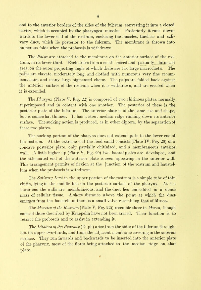 and to the anterior borders of the sides of the fulcrum, converting it into a closed cavity, which is occupied by the pharyngeal muscles. Posteriorly it runs down- wards to the lower end of the rostrum, enclosing the muscles, tracheae and sali- vary duct, which lie posterior to the fulcrum. The membrane is thrown into numerous folds when the proboscis is withdrawn. The Palps are attached to the membrane on the anterior surface of the ros- trum, in its lower third. Each arises from a small raised and partially chitinized area, on the outer projecting angle of which there are two large macrochetse. The palps are clavate, moderately long, and clothed with numerous very fine recum- bent hairs and many large pigmented chetse. The palps are folded back against the anterior surface of the rostrum when it is withdrawn, and are erected when it is extended. The Pharynx (Plate V, Eig. 22) is composed of two chitinous plates, normally superimposed and in contact with one another. The posterior of these is the posterior plate of the fulcrum. The anterior plate is of the same size and shape, but is somewhat thinner. It has a stout median ridge running down its anterior surface. The sucking action is produced, as in other diptera, by the separation of these two plates. The sucking portion of the pharynx does not extend quite to the lower end of the rostrum. At the extreme end the food canal consists (Plate IV, Eig. 20) of a concave posterior plate, only partially chitinized, and a membraneous anterior wall. A little higher up (Plate V, Fig. 20) two lateral plates are developed, and the attenuated end of the anterior plate is seen appearing in the anterior wall. This arrangement permits of flexion at the junction of the rostrum and haustel- lum when the proboscis is withdrawn. The Salivary Duct in the upper portion of the rostrum is a simple tube of thin chitin, lying in the middle line on the posterior surface of the pharynx. At the lower end the walls are membraneous, and the duct hes embedded m a dense mass of cellular tissue. A short distance above the point at which the duct emerges from the haustellum there is a small valve resembling that of Musca. The Muscles of the Rostrum (Plate V, Fig. 22)) resemble those in Musca, though some of those described by Kraepelin have not been traced. Their function is to retract the proboscis and to assist in extending it. The Dilators of the Pharynx (D. ph) arise from the sides of the fulcrum through- out its upper two-thirds, and from the adjacent membrane covering in the anterior surface. They run inwards and backwards to be inserted into the anterior plate of the pharynx, most of the fibres being attached to the median ridge on that plate.