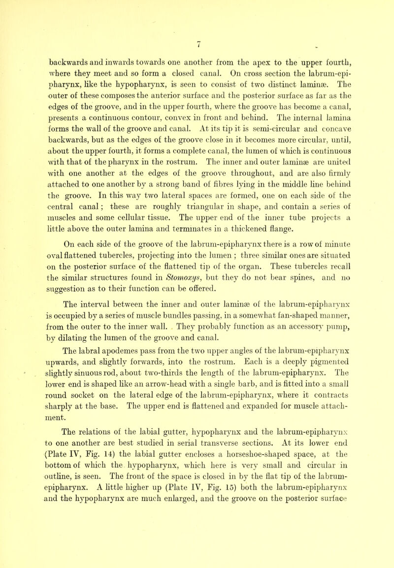 i backwards and inwards towards one another from the apex to the upper fourth, where they meet and so form a closed canal. On cross section the labruni-epi- pharynx, like the hypopharynx, is seen to consist of two distinct laminse. The outer of these composes the anterior surface and the posterior surface as far as the edges of the groove, and in the upper fourth, where the groove has become a canal, presents a continuous contour, convex in front and behind. The internal lamina forms the wall of the groove and canal. At its tip it is semi-circular and concave backwards, but as the edges of the groove close in it becomes more circular, until, about the upper fourth, it forms a complete canal, the lumen of which is continuous with that of the pharynx in the rostrum. The inner and outer laminae are united with one another at the edges of the groove throughout, and are also firmly attached to one another by a strong band of fibres lying in the middle line behind the groove. In this way two lateral spaces are formed, one on each side of the central canal; these are roughly triangular in shape, and contain a series of muscles and some cellular tissue. The upper end of the inner tube projects a little above the outer lamina and terminates in a thickened flange. On each side of the groove of the labrum-epipharynx there is a row of minute oval flattened tubercles, projecting into the lumen ; three similar ones are situated on the posterior surface of the flattened tip of the organ. These tubercles recaJl the similar structures found in Stomoxys, but they do not bear spines, and no suggestion as to their function can be offered. The interval between the inner and outer laminae of the labrum-epipharynx is occupied by a series of muscle bundles passing, in a somewhat fan-shaped manner, from the outer to the inner wall. They probably function as an accessory pump, by dilating the lumen of the groove and canal. The labral apodemes pass from the two upper angles of the labrum-epipharynx upwards, and shghtly forwards, into the rostrum. Each is a deeply pigmented slightly sinuous rod, about two-thirds the length of the labrum-epipharynx. The lower end is shaped like an arrow-head with a single barb, and is fitted into a small round socket on the lateral edge of the labrum-epipharynx, where it contracts sharply at the base. The upper end is flattened and expanded for muscle attach- ment. The relations of the labial gutter, hypopharynx and the labrum-epipharynx to one another are best studied in serial transverse sections. At its lower end (Plate IV, Fig. 14) the labial gutter encloses a horseshoe-shaped space, at the bottom of which the hypopharynx, which here is very small and circular in outhne, is seen. The front of the space is closed in by the flat tip of the labrum- epipharynx. A little higher up (Plate IV, Fig. 15) both the labrum-epipharynx and the hypopharynx are much enlarged, and the groove on the posterior surface