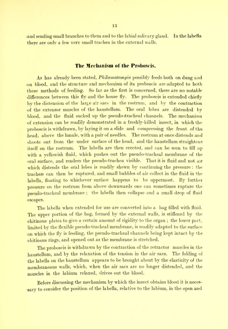 •and sending small brandies to them and to the labial salivary gland. In the labella there are only a few very small trachea in the external walls. The Meehan ism of the Pioiioseis. As has already been stated, Philcematomyia possibly feeds both on dung and •on blood, and the structure and mechanism of its proboscis are adapted to both these methods of feeding. So far as the first is concerned, there are no notable •difierences between this fly and the house fly. The proboscis is extended chiefly by the distension of the large air sacs in the rostrum, and by the contraction -of the extensor muscles of the haustellum. The oral lobes are distended by blood, and the fluid sucked up the pseudo-tracheal channels. The mechanism of extension can be readily demonstrated in a freshly-killed insect, in which the proboscis is withdrami, by laymg it on a slide and compressing the front of the head, above the lumde, with a pair of needles. The rostrum at once distends and shoots out from the under surface of the head, and the haustellum straightens itself on the rostrum. The labella are then erected, and can be seen to fill up with a yellowish fluid, which pushes out the pseudo-tracheal membrane of the oral surface, and renders the pseudo-trachea visible. That it is fluid and not air which distends the oral lobes is readily shewn by continuing the pressure : the trachese can then be ruptured, and small bubbles of air collect in the fluid in the labella, floating to whichever surface happens to be uppermost. By further pressure on the rostrum from above downwards one can sometimes rupture the pseudo-tracheal membrane ; the labella then collapse and a small drop of fluid escapes. The labella when extended for use are converted into a bag filled with fluid. The upper portion of the bag, formed by the external walls, is stiffened by the chitinous plates to give a certain amoimt of rigidity to the organ ; the lower part, limited by the flexible pseudo-tracheal membrane, is readily adapted to the surface on which the fly is feedmg, the pseudo-tracheal channels bemg kept intact by the chitmous rmgs, and opened out as the membrane is stretched. The proboscis is withdrawn by the contraction of the retractor muscles in the haustellum, and by the relaxation of the tension in the air sacs. The folding of the labella on the haustellum appears to be brought about by the elasticity of the membraneous walls, which, when the air sacs are no longer distended, and the muscles in the labium relaxed, drives out the blood. Before discussing the mechanism by which the insect obtains blood it is neces- sary to consider the position of the labella, relative to the labium, in the open and