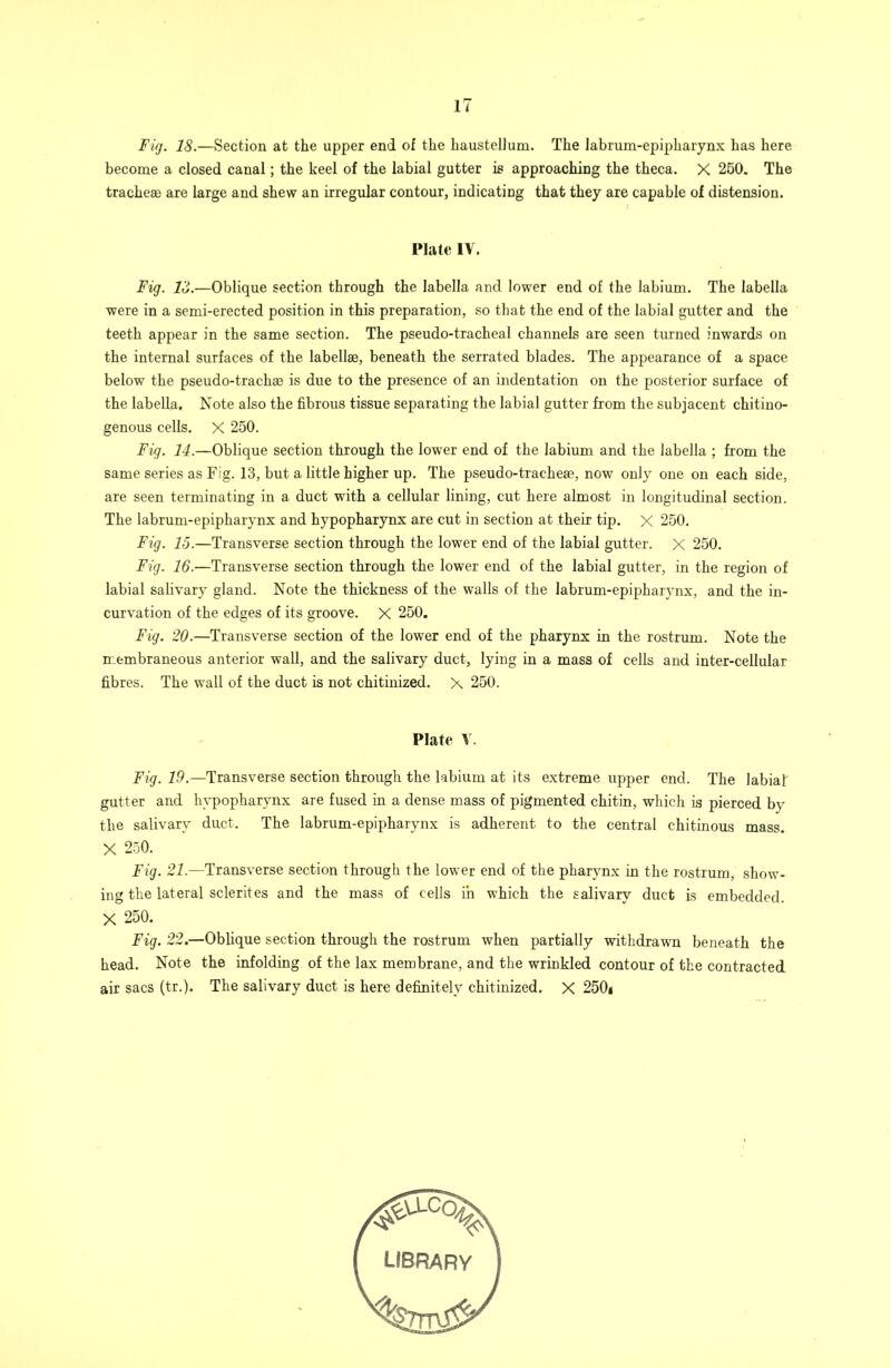 Firj. 18.—Section at the upper end of the haustellum. The labrum-epipharynx has here become a closed canal; the keel of the labial gutter is approaching the theca. X 260. The tracheae are large and shew an irregular contour, indicating that they are capable of distension. Plate IV. Fig. 18.—Oblique section through the labella and lower end of the labium. The labella were in a semi-erected position in this preparation, so that the end of the labial gutter and the teeth appear in the same section. The pseudo-tracheal channels are seen turned inwards on the internal surfaces of the labellae, beneath the serrated blades. The appearance of a space below the pseudo-trachae is due to the presence of an indentation on the posterior surface of the labella. Note also the fibrous tissue separating the labial gutter from the subjacent chitino- genous cells. X 250. Fig. 14.—Oblique section through the lower end of the labium and the labella ; from the same series as Fig. 13, but a little higher up. The pseudo-trachea?, now only one on each side, are seen terminating in a duct with a cellular lining, cut here almost in longitudinal section. The labrum-epipharynx and hypopharynx are cut in section at their tip. X 250. Fig. F5.—Transverse section through the lower end of the labial gutter. X 250. Fig. 16.—Transverse section through the lower end of the labial gutter, in the region of labial salivary gland. Note the thickness of the walls of the labrum-epipharynx, and the in- curvation of the edges of its groove. X 250. Fig. 20.—Transverse section of the lower end of the pharynx in the rostrum. Note the membraneous anterior wall, and the salivary duct, lying in a mass of cells and inter-cellular fibres. The wall of the duct is not chitinized. X 250. Plate V. Fig. 19.—Transverse section through the labium at its extreme upper end. The labial gutter and hypopharynx are fused in a dense mass of pigmented chitin, which is pierced by the salivary duct. The labrum-epipharynx is adherent to the central chitinous mass. X 250. Fig. 21.—Transverse section through the lower end of the pharynx in the rostrum, show- ing the lateral sclerites and the mass of cells in which the salivary duct is embedded. X 250. Fig. 22.—Oblique section through the rostrum when partially withdrawn beneath the head. Note the infolding of the lax membrane, and the wrinkled contour of the contracted air sacs (tr.). The salivary duct is here definitely chitinized. X 250j