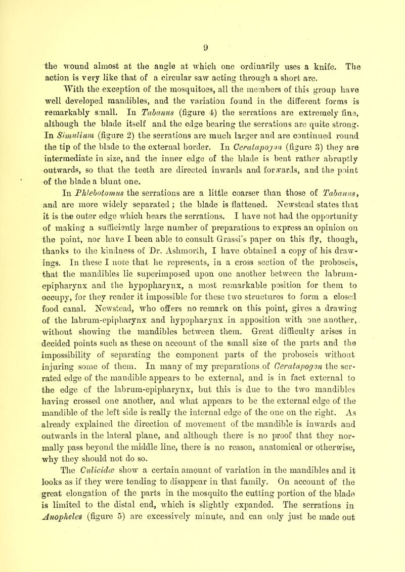 the wound almost at the angle at which one ordinarily uses a knife. The action is very like that of a circular saw acting through a short arc. With the exception of the mosquitoes, all the members of this group have well developed mandibles, and the variation found in the different forms is remarkably small. In Tcibanus (figure I) the serrations are extremely fine, although the blade itself and the edge bearing the serrations are quite strong. In Simulium (figure 2) the serrations are much larger and are continued round the tip of the blade to the external border. In Ceratapogon (figure 3) they are intermediate in size, and the inner edge of the blade is bent rather abruptly outwards, so that the teeth are directed inwards and forwards, and the point of the blade a blunt one. In Phlebotomies the serrations are a little coarser than those of Tabanns, and are more widely separated ; the blade is flattened. Newstead states that it is the outer edge which bears the serrations. I have not had the opportunity of making a sufficiently large number of preparations to express an opinion on the point, nor have I been able to consult Grassi’s paper on this fly, though, thanks to the kindness of Dr. Ashmorth, I have obtained a copy of his draw- ings. In these I note that he represents, in a cross section of tbe proboscis, that the mandibles lie superimposed upon one another between the labrum- epipharynx and the hypopharynx, a most remarkable position for them to occupy, for they render it impossible for these two structures to form a closed food canal. Newstead, who offers no remark on this point, gives a drawing of the labrum-epipharynx and hypopharynx in apposition with one another,. without showing the mandibles between them. Great difficulty arises in decided points such as these on account of the small size of the parts and the impossibility of separating the component parts of the proboscis without injuring some of them. In many of my preparations of Oeratapogon the ser- rated edge of the mandible appears to be external, and is in fact external to the edge of the labrum-epipharynx, but this is due to the two mandibles having crossed one another, and what appears to be the external edge of the mandible of the left side is really the internal edge of the one on the right. As already explained the direction of movement of tbe mandible is inwards and outwards in the lateral plane, and although there is no proof that they nor- mally pass beyond the middle line, there is no reason, anatomical or otherwise, why they should not do so. The Culicidce show a certain amount of variation in the mandibles and it looks as if they were tending to disappear in that family. On account of the great elongation of the parts in the mosquito the cutting portion of the blade is limited to the distal end, which is slightly expanded. The serrations in Anopheles (figure 5) are excessively minute, and can only just be made out