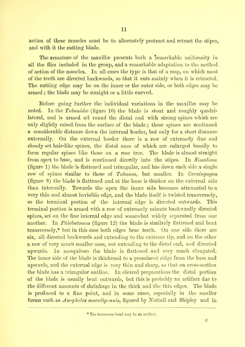 action of these muscles must be to alternately protract and retract the stipes, and with it the cutting blade. The armature of the maxillae presents both a remarkable uniformity in all the flies included in the group, and a remarkable adaptation to the method of action of the muscles. In all cases the type is that of a rasp, on which most of the teeth are directed backwards, so that it cuts mainly when it is retracted. The cutting edge may be on the inner or the outer side, or both edges may be armed ; the blade may be straight or a little curved. Before going further the individual variations in the maxillae may be noted. In the Tabcmidce (figure 10) the blade is stout and roughly quadri- lateral, and is armed all round the distal end with strong spines which are only slightly raised from the surface of the blade ; these spines are continued a considerable distance down the internal border, but only for a short distance externally. On the external border there is a row of extremely fine and closely set hair-like spines, the distal ones of which are enlarged basally to form regular spines like those on a rose tree. The blade is almost straight from apex to base, and is continued directly into the stipes. In Simulium (figure 1) the blade is flattened and triangular, and has down each side a single row of spines similar to those of Tcibanus, but smaller. In Ceratapogon (figure 8) the blade is flattened and at the base is thicker on the external side than internally. Towards the apex the inner side becomes attenuated to a very thin and almost invisible edge, and the blade itself is twisted transversely, so the terminal portion of the internal edge is directed outwards. This terminal portion is armed with a row of extremely minute backwardly directed spines, set on the fine internal edge and somewhat widely separated from one another. In Phlebotomies (figure 12) the blade is similarly flattened and bent transversely,* but in this case both edges bear teeth. On one side there are six, all directed backwards and extending to the extreme tip, and on the other a row of very much smaller ones, not extending to the distal end, and directed upwards. In mosquitoes the blade is flattened and very much elongated. The inner side of the blade is thickened to a prominent ridge from the base and upwards, and the external edge is very thin and sharp, so that on cross-section the blade has a triangular outline. In cleared preparations the distal portion of the blade is usually bent outwards, but this is probably an artifact due to the different amounts of shrinkage in the thick and the thin edges. The blade is produced to a fine point, and in some cases, especially in the smaller forms such as Anopheles maculipennis, figured by Nuttall and Shipley and in * The transverse bend may be an artifact. C