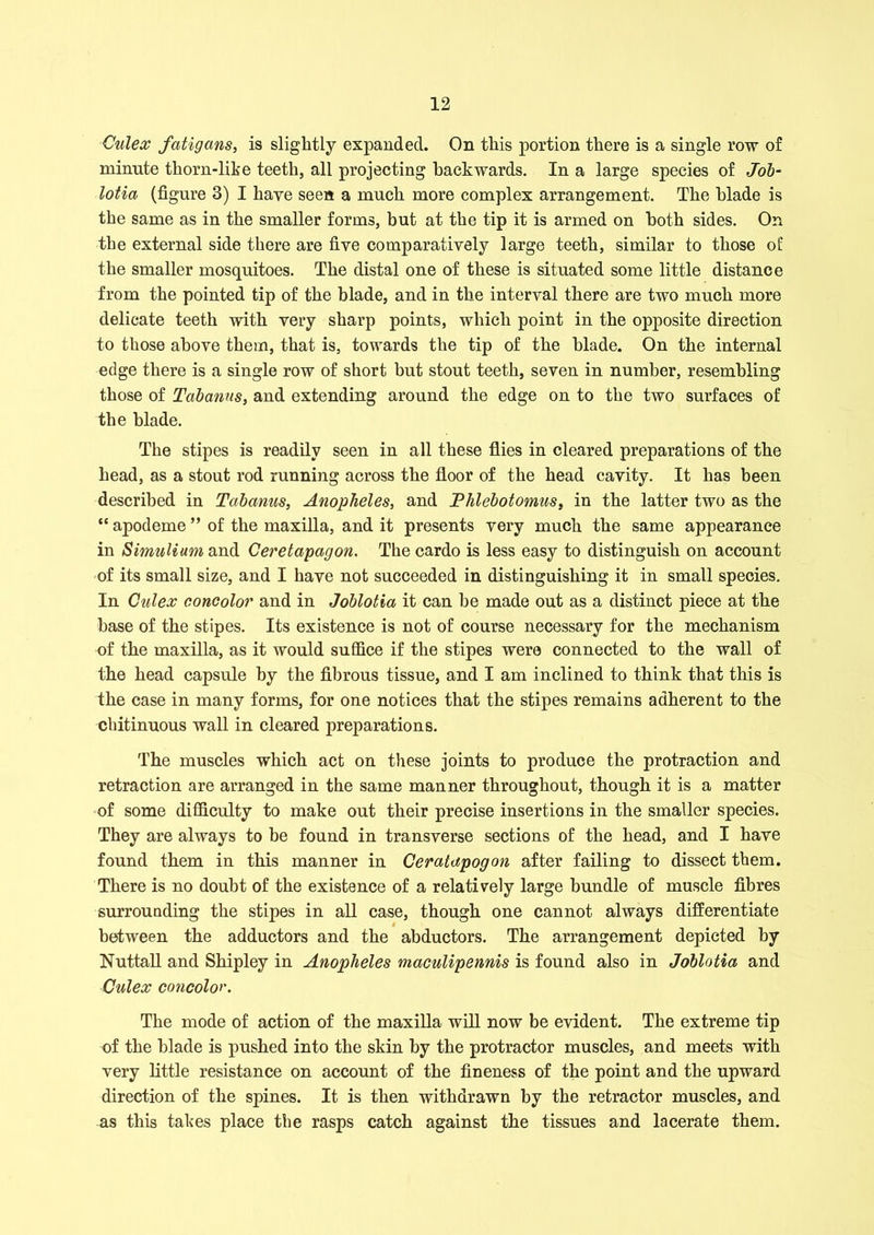 Culex fatigans, is slightly expanded. On this portion there is a single row of minute thorn-like teeth, all projecting backwards. In a large species of Job- lotia (figure 3) I have seen a much more complex arrangement. The blade is the same as in the smaller forms, but at the tip it is armed on both sides. On the external side there are five comparatively large teeth, similar to those of the smaller mosquitoes. The distal one of these is situated some little distance from the pointed tip of the blade, and in the interval there are two much more delicate teeth with very sharp points, which point in the opposite direction to those above them, that is, towards the tip of the blade. On the internal edge there is a single row of short but stout teeth, seven in number, resembling those of Tabanus, and extending around the edge on to the two surfaces of the blade. The stipes is readily seen in all these flies in cleared preparations of the head, as a stout rod running across the floor of the head cavity. It has been described in Tabanus, Anopheles, and Phlebotomus, in the latter two as the “ apodeme ” of the maxilla, and it presents very much the same appearance in Simulium and Ceretapagon. The cardo is less easy to distinguish on account of its small size, and I have not succeeded in distinguishing it in small species. In Culex eoncolor and in Joblotia it can be made out as a distinct piece at the base of the stipes. Its existence is not of course necessary for the mechanism of the maxilla, as it would suffice if the stipes were connected to the wall of the head capsule by the fibrous tissue, and I am inclined to think that this is the case in many forms, for one notices that the stipes remains adherent to the chitinuous wall in cleared preparations. The muscles which act on these joints to produce the protraction and retraction are arranged in the same manner throughout, though it is a matter of some difficulty to make out their precise insertions in the smaller species. They are always to be found in transverse sections of the head, and I have found them in this manner in Ceratapogon after failing to dissect them. There is no doubt of the existence of a relatively large bundle of muscle fibres surrounding the stipes in all case, though one cannot always differentiate between the adductors and the abductors. The arrangement depicted by Nuttall and Shipley in Anopheles maculipennis is found also in Joblotia and Culex eoncolor. The mode of action of the maxilla will now be evident. The extreme tip of the blade is pushed into the skin by the protractor muscles, and meets with very little resistance on account of the fineness of the point and the upward direction of the spines. It is then withdrawn by the retractor muscles, and as this takes place the rasps catch against the tissues and lacerate them.