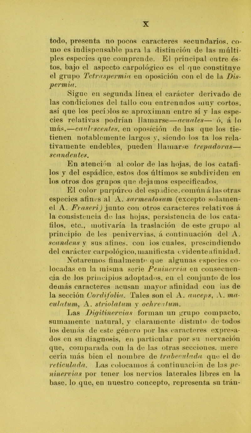 todo, presenta no pocos caracteres secundarios, co- mo es indispensable para la distinción de las múlti- ples especies que comprende. El principal entre és- tos, bajo el aspecto carpológico es el que constituye el grupo Tctraspermia en oposición con el de la Dis- permia. Sigue en segunda línea el carácter derivado de las condiciones del tallo con entrenudos louv cortos, así que los pecÍDlos se aproximan entre sí y las espe- cies relativas podrían llamarse—acuales— ó, á lo más,—eauhsceiites, en oposición de las que los tie- tienen notablemente largos y, siendo los ta los rela- tivamente endebles, pueden llamarse trepadoras— scandentes. En atención al color de las hojas, de los catad- los y del espádice, estos dos últimos se subdividen en los otros dos grupos que dejamos especificados. El color purpúreo del espádice, común á las otras especies afim s al A, sarmentosum (excepto solamen- el A. Fraserij plinto con otros caracteres relativos á la consistencia de las hojas, persistencia de los cata- filos, etc., motivaría la traslación de este grupo al principio de les periivervias, á continuación del A. scandens y sus afines, con ios cuales, prescindiendo del carácter carpológico,manifiesta cvidenteafinidad. botaremos finalmente que algunas especies co- locadas en la misma serie Pemnervia en consecuen- cia de los principios adoptados, en el conjunto de los demás caracteres acusan mavor afinidad con las de la sección Cordifolvt. Tales son el A. anceps, A. ma- Gulatum^ A. striolatum y ochrentum. Las .Digitinervias forman un grupo compacto, sumamente natural, y claramente distinto de todos los demás de este género por las caractm’es expresa- dos en su diagnosis, en particular por su nervación que, comparada con la de las otras secciones, mero cería más bien el nombre de trabenilada que el de reticulada. Las colocamos á continuaci<m de Ins pc- ninervias por tener los nervios laterales libres en la base, lo que, en nuestro concepto, representa su tráu-