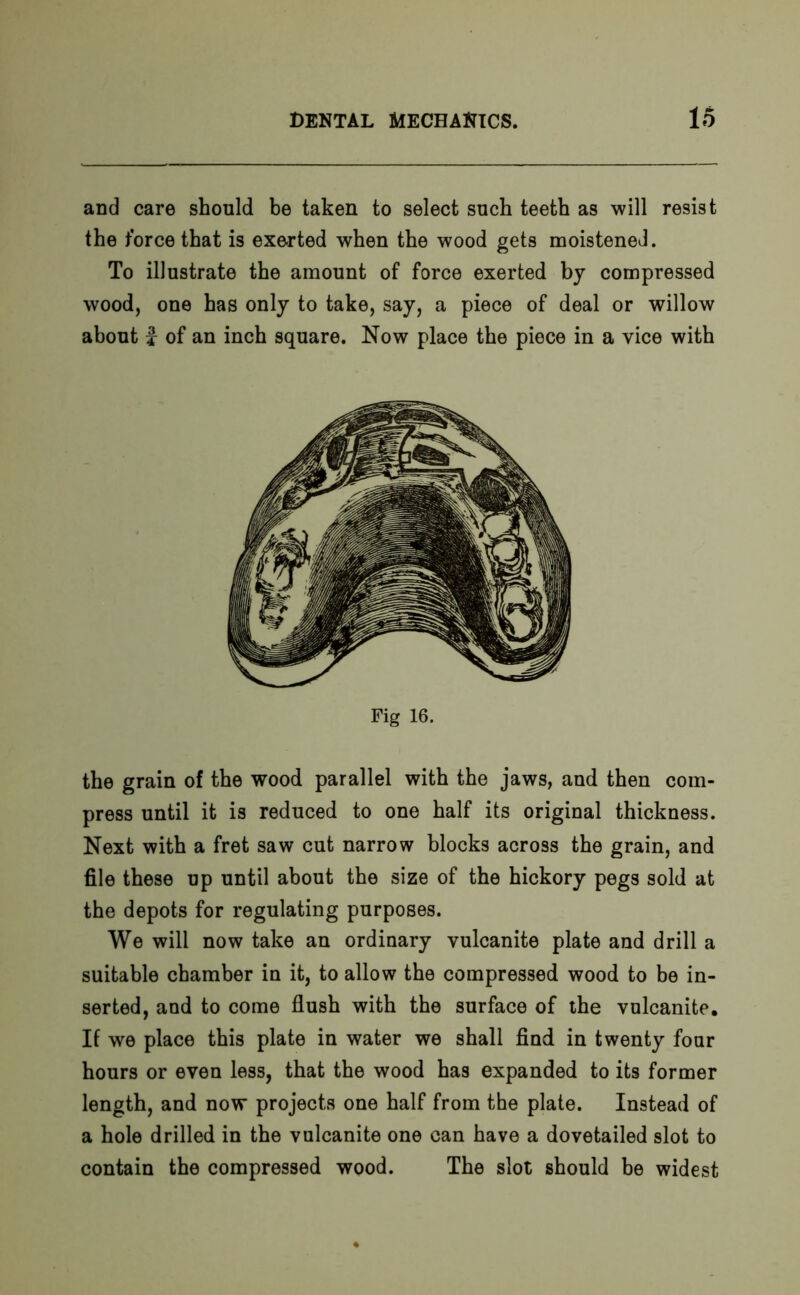 and care should be taken to select such teeth as will resist the force that is exerted when the wood gets moistened. To illustrate the amount of force exerted by compressed wood, one has only to take, say, a piece of deal or willow about i of an inch square. Now place the piece in a vice with Fig 16. the grain of the wood parallel with the jaws, and then com- press until it is reduced to one half its original thickness. Next with a fret saw cut narrow blocks across the grain, and file these up until about the size of the hickory pegs sold at the depots for regulating purposes. We will now take an ordinary vulcanite plate and drill a suitable chamber in it, to allow the compressed wood to be in- serted, and to come flush with the surface of the vulcanite. If we place this plate in water we shall find in twenty four hours or even less, that the wood has expanded to its former length, and now projects one half from the plate. Instead of a hole drilled in the vulcanite one can have a dovetailed slot to contain the compressed wood. The slot should be widest