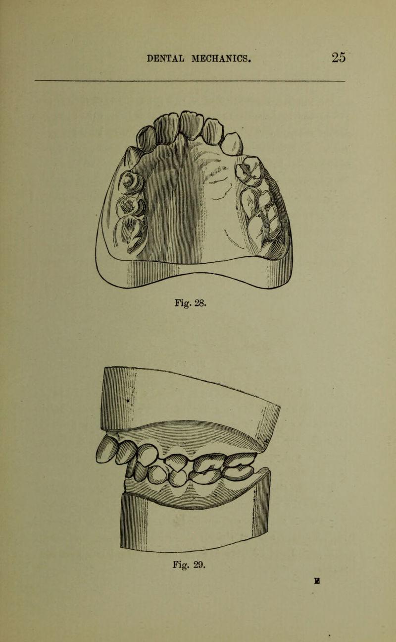 Fig. 28. B
