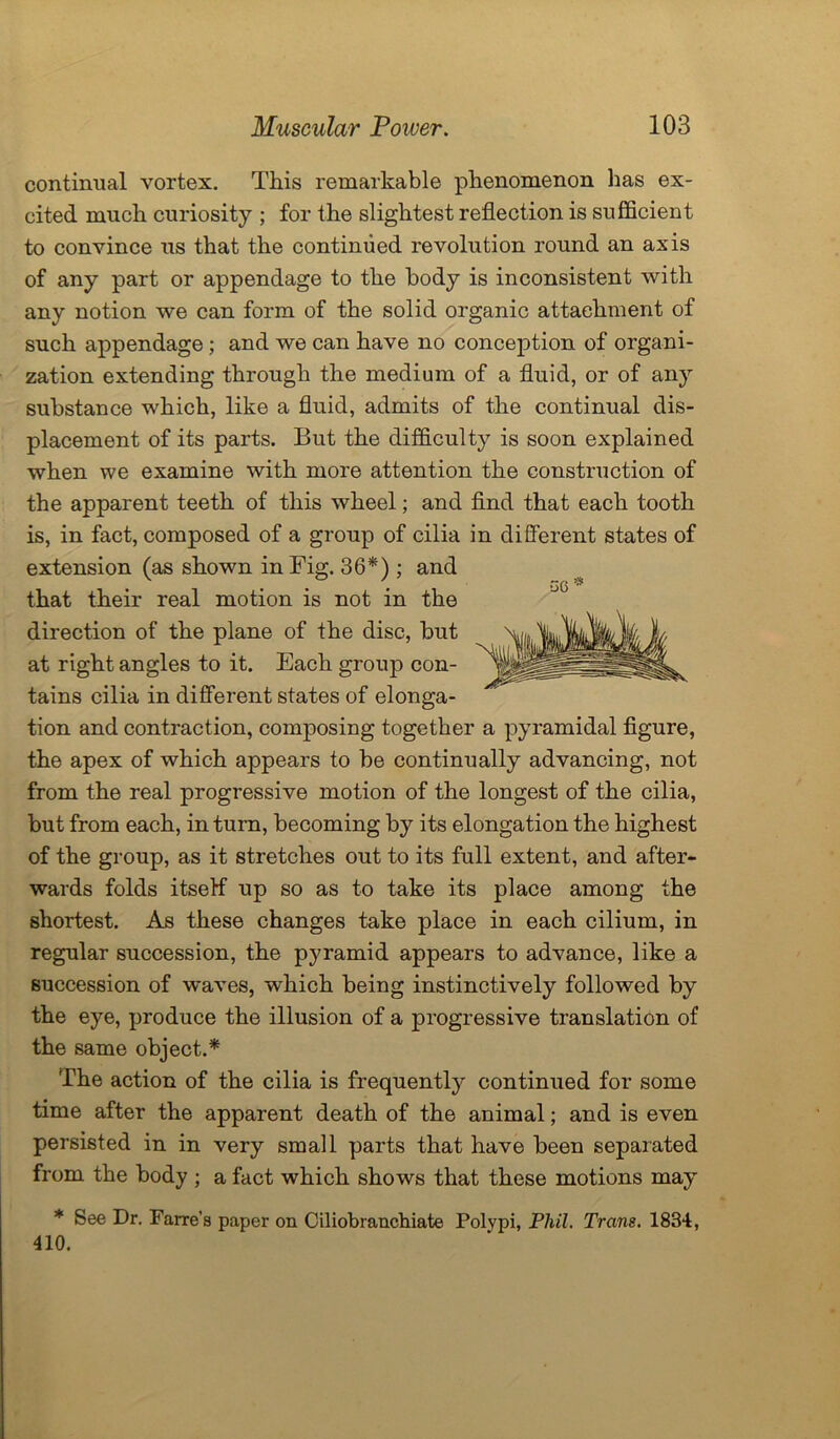 continual vortex. This remarkable phenomenon lias ex- cited much curiosity ; for the slightest reflection is sufficient to convince us that the continued revolution round an axis of any part or appendage to the body is inconsistent with any notion we can form of the solid organic attachment of such appendage ; and we can have no conception of organi- zation extending through the medium of a fluid, or of any substance which, like a fluid, admits of the continual dis- placement of its parts. But the difficulty is soon explained when we examine with more attention the construction of the apparent teeth of this wheel; and find that each tooth is, in fact, composed of a group of cilia in different states of extension (as shown in Fig. 36*) ; and that their real motion is not in the direction of the plane of the disc, but at right angles to it. Each group con- tains cilia in different states of elonga- tion and contraction, composing together a pyramidal figure, the apex of which appears to be continually advancing, not from the real progressive motion of the longest of the cilia, but from each, in turn, becoming by its elongation the highest of the group, as it stretches out to its full extent, and after- wards folds itself up so as to take its place among the shortest. As these changes take place in each cilium, in regular succession, the pyramid appears to advance, like a succession of waves, which being instinctively followed by the eye, produce the illusion of a progressive translation of the same object.* The action of the cilia is frequently continued for some time after the apparent death of the animal; and is even persisted in in very small parts that have been separated from the body ; a fact which shows that these motions may * See Dr. Farre’s paper on Ciliobranchiate Polypi, Phil. Trans. 1834, 410.