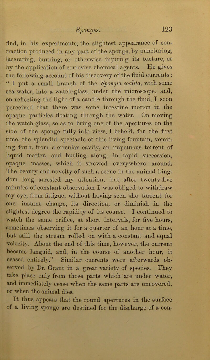 find, in his experiments, the slightest appearance of con- traction produced in any part of the sponge, by puncturing, lacerating, burning, or otherwise injuring its texture, or by the application of corrosive chemical agents. fje gives the following account of his discovery of the fluid currents : “ I put a small branch of the Spongia coalita, with some sea-water, into a watch-glass, under the microscope, and, on reflecting the light of a candle through the fluid, I soon perceived that there was some intestine motion in the opaque particles floating through the water. On moving the watch-glass, so as to bring one of the apertures on the side of the sponge fully into view, I beheld, for the first time, the splendid spectacle of this living fountain, vomit- ing forth, from a circular cavity, an impetuous torrent of liquid matter, and hurling along, in rapid succession, opaque masses, which it strewed everywhere around. The beauty and novelty of such a scene in the animal king- dom long arrested my attention, but after twenty-five minutes of constant observation I was obliged to withdraw my eye, from fatigue, without having seen the torrent for one instant change, its direction, or diminish in the slightest degree the rapidity of its course. I continued to watch the same orifice, at short intervals, for five hours, sometimes observing it for a quarter of an hour at a time, but still the stream rolled on with a constant and equal velocity. About the end of this time, however, the current became languid, and, in the course of another hour, it ceased entirely.” Similar currents were afterwards ob- served by Dr. Grant in a great variety of species. They take place only from those parts which are under water, and immediately cease when the same parts are uncovered, or when the animal dies. It thus appears that the round apertures in the surface of a living sponge are destined for the discharge of a con-