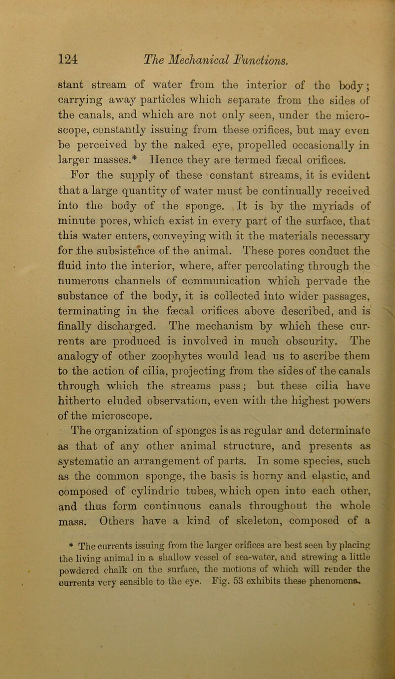 stant stream of water from the interior of the body; carrying away particles which separate from the sides of the canals, and which are not only seen, under the micro- scope, constantly issuing from these orifices, but may even be perceived by the naked eye, propelled occasionally in larger masses.* Hence they are termed fajcal orifices. For the supply of these constant streams, it is evident that a large quantity of water must be continually received into the body of the sponge. It is by the myriads of minute pores, which exist in every part of the surface, that this water enters, conveying with it the materials necessary for the subsistence of the animal. These pores conduct the fluid into the interior, where, after percolating through the numerous channels of communication which pervade the substance of the body, it is collected into wider passages, terminating in the faecal orifices above described, and is finally discharged. The mechanism by which these cur- rents are produced is involved in much obscurity. The analogy of other zoophytes would lead us to ascribe them to the action of cilia, projecting from the sides of the canals through which the streams pass; but these cilia have hitherto eluded observation, even with the highest powers of the microscope. The organization of sponges is as regular and determinate as that of any other animal structure, and presents as systematic an arrangement of parts. In some species, such as the common sponge, the basis is horny and elastic, and composed of cylindric tubes, which open into each other, and thus form continuous canals throughout the whole mass. Others have a kind of skeleton, composed of a * The currents issuing from the larger orifices are best seen by placing the living animal in a shallow vessel of sea-water, and strewing a little powdered chalk on the surface, the motions of which will render the currents very sensible to the eye. Fig. 53 exhibits these phenomena.