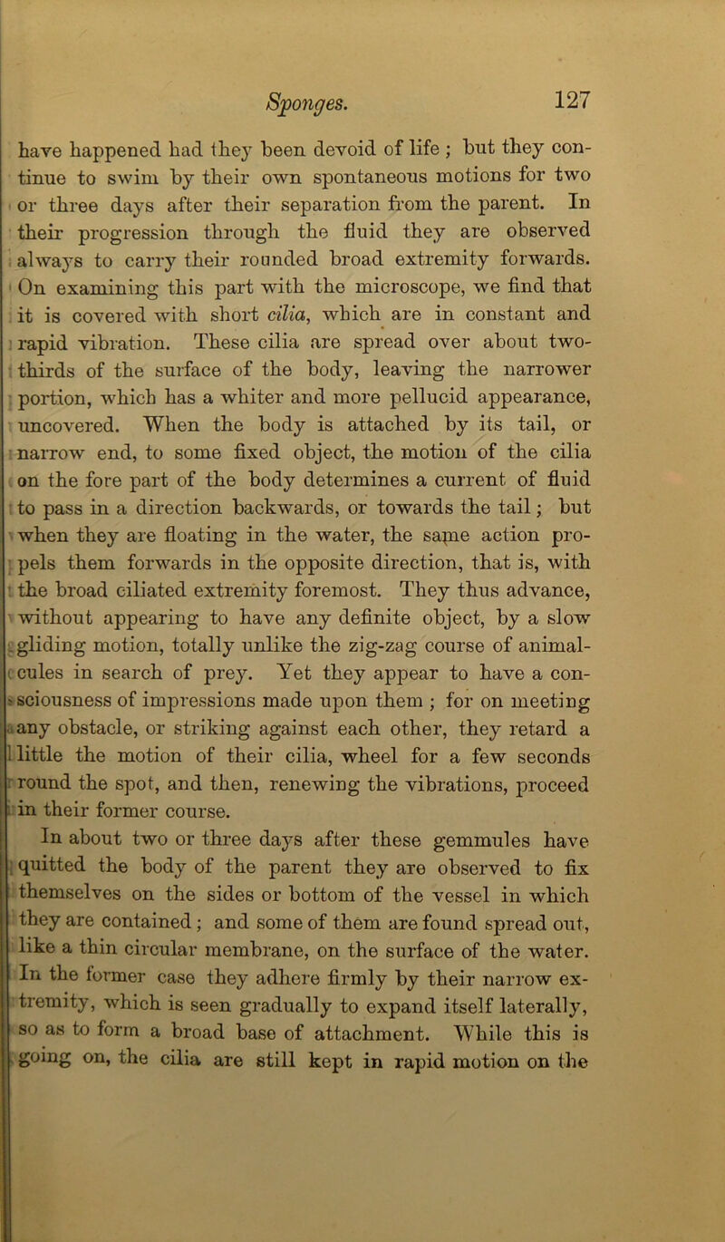 have happened had they been devoid of life ; but they con- tinue to swim by their own spontaneous motions for two or three days after their separation from the parent. In their progression through the fluid they are observed always to carry their rounded broad extremity forwards. On examining this part with the microscope, we find that it is covered with short cilia, which are in constant and rapid vibration. These cilia are spread over about two- thirds of the surface of the body, leaving the narrower portion, which has a whiter and more pellucid appearance, uncovered. When the body is attached by its tail, or narrow end, to some fixed object, the motion of the cilia on the fore part of the body determines a current, of fluid to pass in a direction backwards, or towards the tail; but when they are floating in the water, the sapae action pro- pels them forwards in the opposite direction, that is, with the broad ciliated extremity foremost. They thus advance, ' without appearing to have any definite object, by a slow .gliding motion, totally unlike the zig-zag course of animal- ccules in search of prey. Yet they appear to have a con- -sciousness of impressions made upon them ; for on meeting • any obstacle, or striking against each other, they retard a 1 little the motion of their cilia, wheel for a few seconds round the spot, and then, renewing the vibrations, proceed in their former course. In about two or three days after these gemmules have quitted the body of the parent they are observed to fix themselves on the sides or bottom of the vessel in which they are contained; and some of them are found spread out, like a thin circular membrane, on the surface of the water. In the former case they adhere firmly by their narrow ex- tremity, which is seen gradually to expand itself laterally, so as to form a broad base of attachment. While this is going on, the cilia are still kept in rapid motion on the