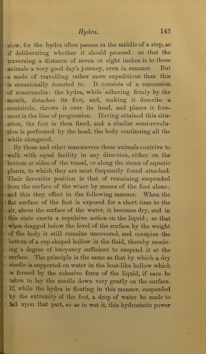 I slow, for the hydra often pauses in the middle of a step, as if deliberating whether it should proceed: so that the traversing a distance of seven or eight inches is to these I animals a very good day’s journey, even in summer. But I a mode of travelling rather more expeditious than this I is occasionally resorted to. It consists of a succession of somersaults: the hydra, while adhering firmly by the $ i mouth, detaches its foot, and, making it describe a I semicircle, throws it over its head, and places it fore- I most in the line of progression. Having attained this situ- ation, the foot is then fixed, and a similar semi-revolu- I tion is performed by the head, the body continuing all the I while elongated. By these and other manoeuvres these animals contrive to ( walk with equal facility in any direction, either on the I bottom or sides of the vessel, or along the stems of aquatic I. plants, to which they are most frequently found attached. Their favourite position is that of remaining suspended from the surface of the wtaer by means of the foot alone; and this they effect in the following manner. When the flat surface of the foot is exposed for a short time to the air, above the surface of the water, it becomes dry, and in this state exerts a repulsive action on the liquid ; so that when dragged below the level of the surface by the weight of fhe body it still remains uncovered, and occupies the bottom of a cup-shaped hollow in the fluid, thereby receiv- ing a degree of buoyancy sufficient to suspend it at the surface. The principle is the same as that by which a dry needle is supported on water in the boat-like hollow which is formed by the cohesive force of the liquid, if care be taken to lay the needle down very gently on the surface. If, while the hydra is floating in this manner, suspended by the extremity of the foot, a drop of water be made to fall upon that part, so as to wet it, this hydrostatic power