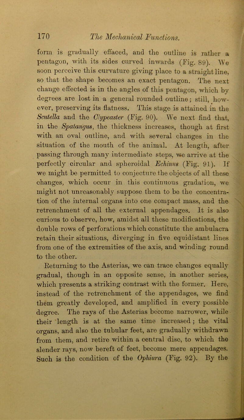 form is gradually effaced, and the outline is rather a pentagon, with its sides curved inwards (Fig. 89). We soon perceive this curvature giving place to a straight line, so that the shape becomes an exact pentagon. The next change effected is in the angles of this pentagon, which by degrees are lost in a general rounded outline; still, how- ever, preserving its flatness. This stage is attained in the Scutella and the Glypeaster (Fig. 90). We next find that, in the Spatangus, the thickness increases, though at first with an oval outline, and with several changes in the situation of the mouth of the animal. At length, after passing through many intermediate steps, we arrive at the perfectly circular and spheroidal Echinvs (Fig. 91). If we might be permitted to conjecture the objects of all these changes, which occur in this continuous gradation, we might not unreasonably suppose them to be the concentra- tion of the internal organs into one compact mass, and the retrenchment of all the external appendages. It is also curious to observe, how, amidst all these modifications, the double rows of perforations which constitute the ambulacra retain their situations, diverging in five equidistant lines from one of the extremities of the axis, and winding round to the other. Returning to the Asterias, we can trace changes equally gradual, though in an opposite sense, in another series, which presents a striking contrast with the former. Here, instead of the retrenchment of the appendages, we find them greatly developed, and amplified in every possible degree. The rays of the Asterias become narrower, while their length is at the same time increased; the vital organs, and also the tubular feet, are gradually withdrawn from them, and retire within a central disc, to which the slender rays, now bereft of feet, become mere appendages. Such is the condition of the Ophiura (Fig. 92). By the